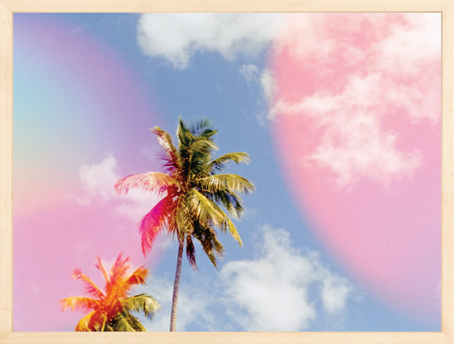 Bubblegum Palms