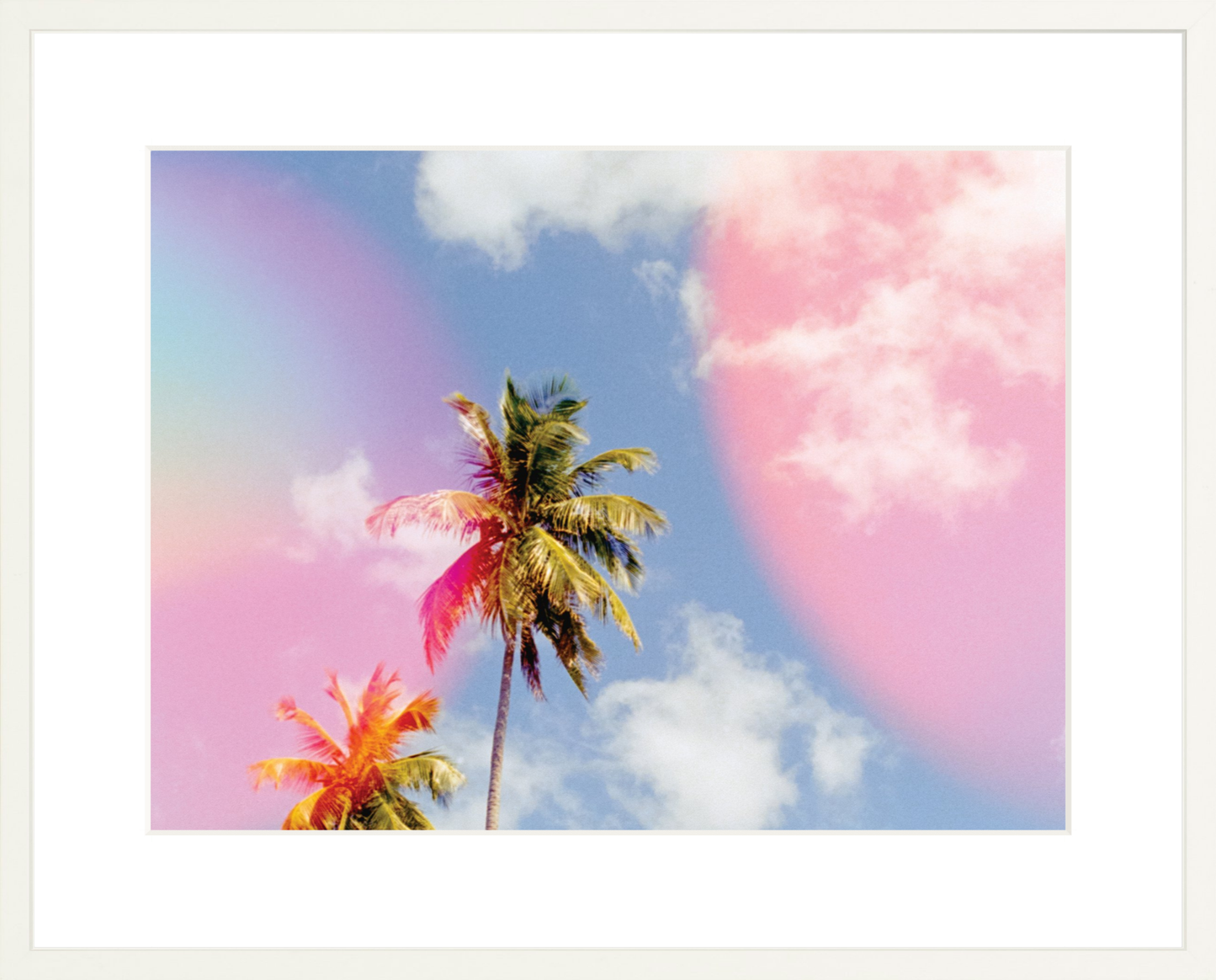 Bubblegum Palms