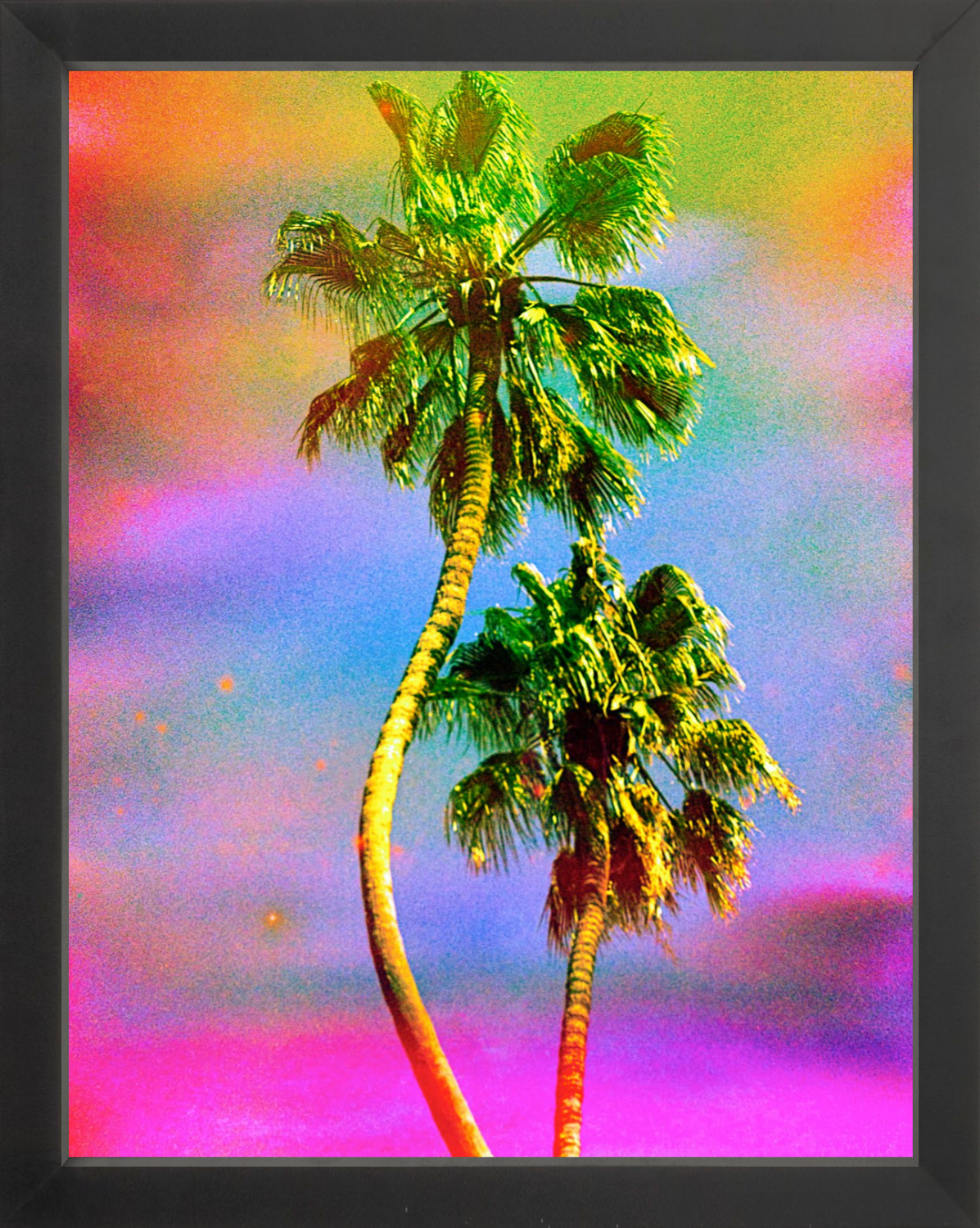 Dancing Palms