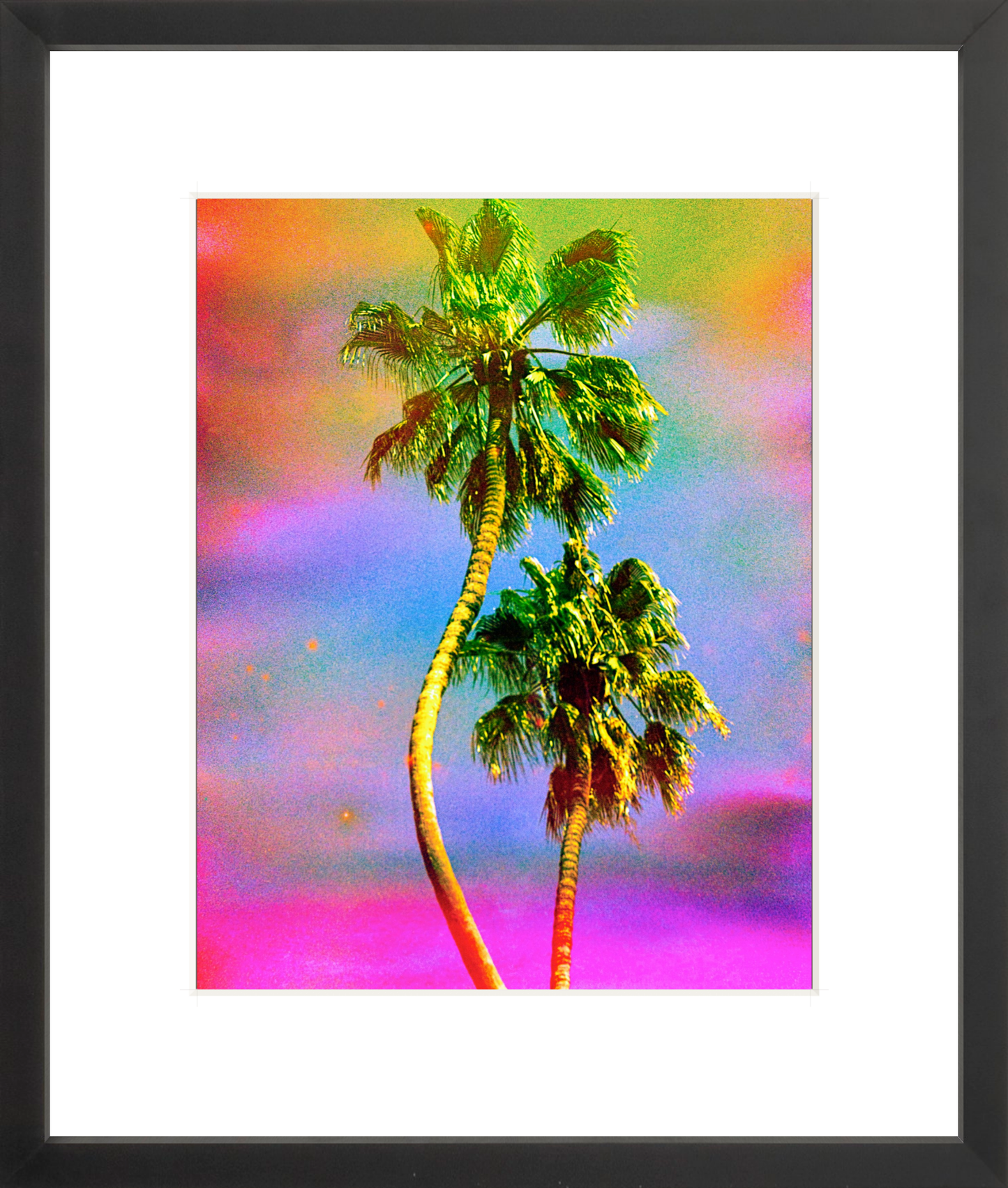 Dancing Palms