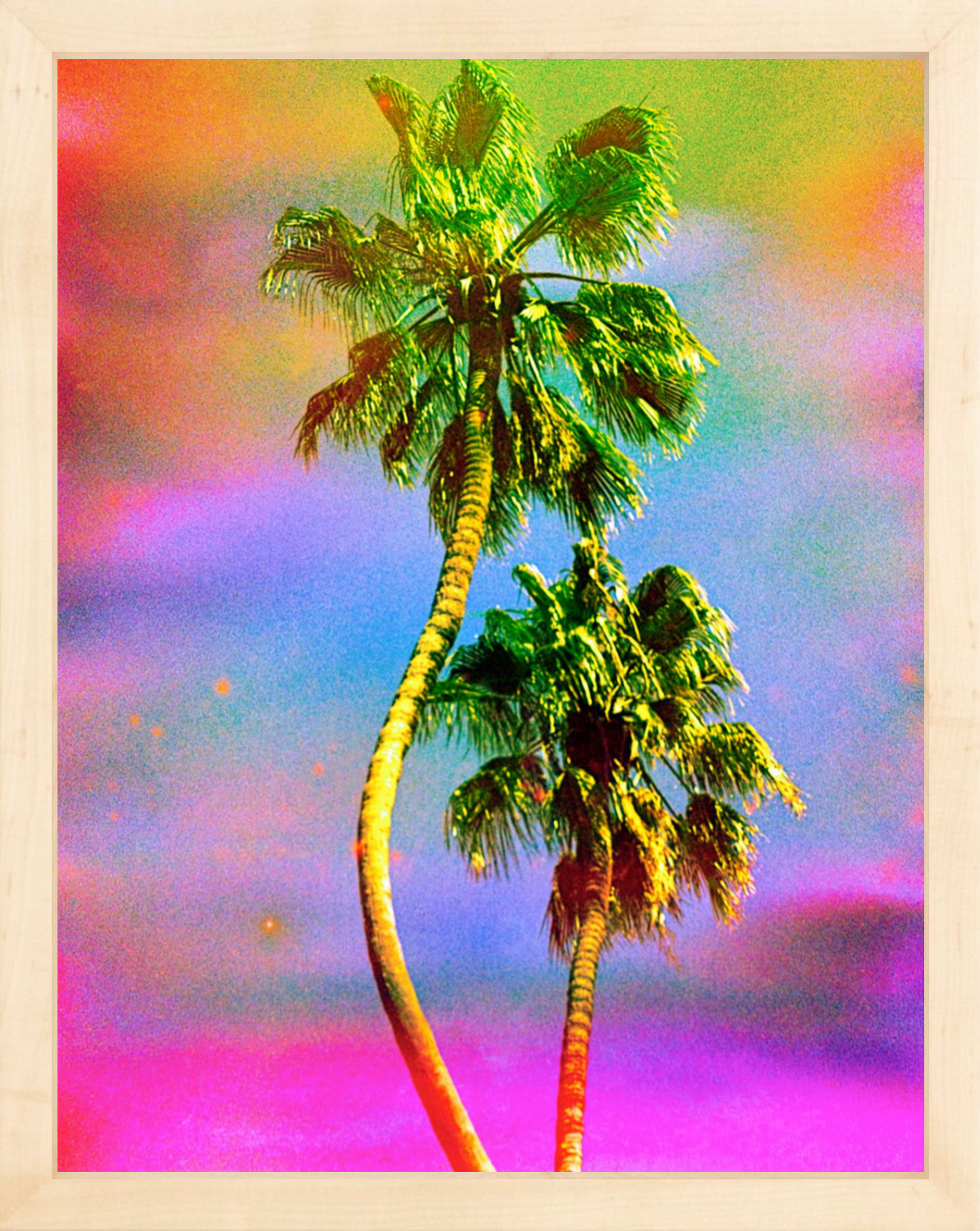 Dancing Palms