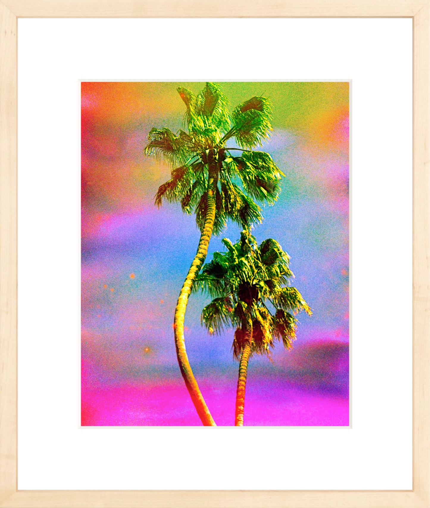 Dancing Palms