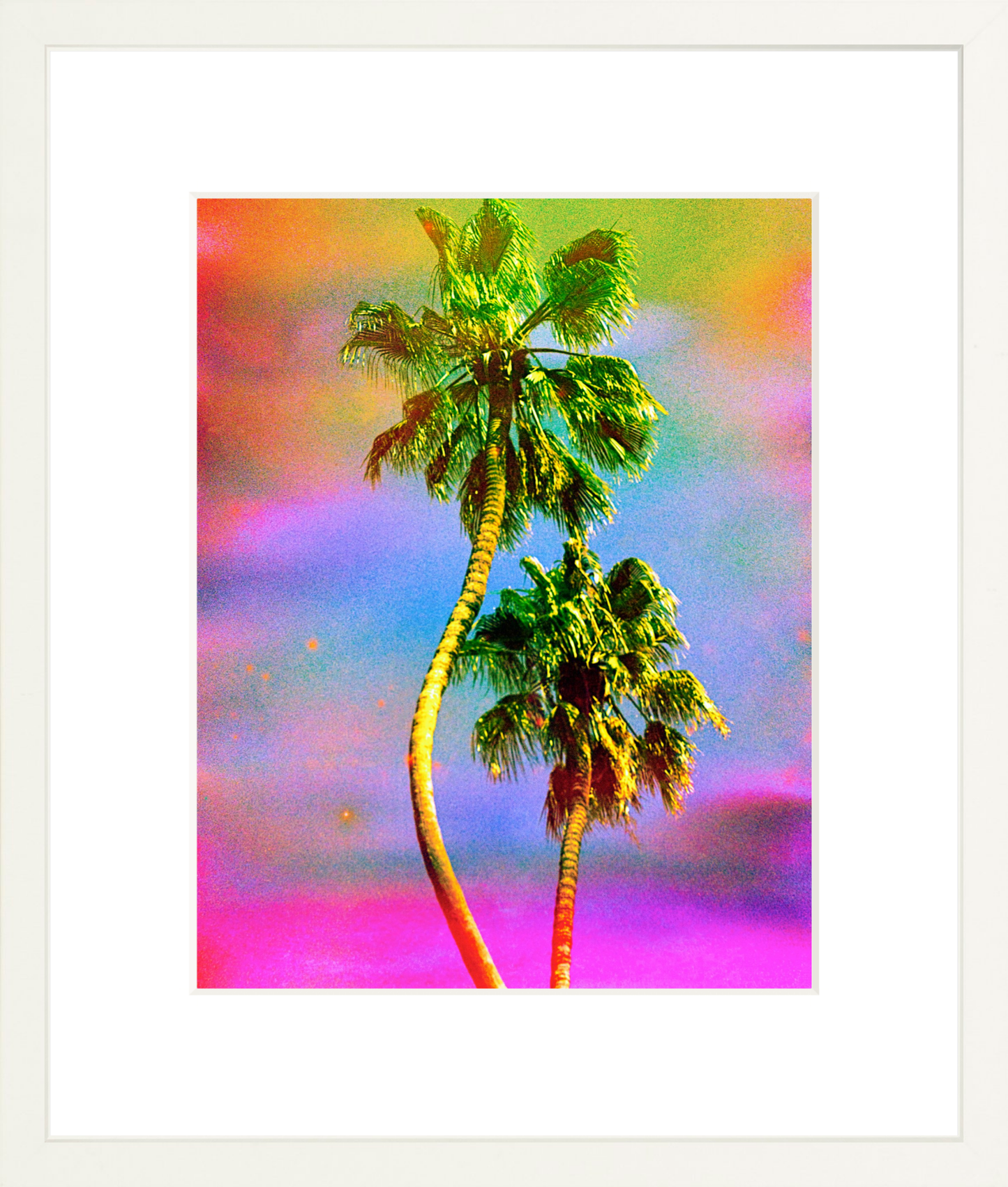 Dancing Palms