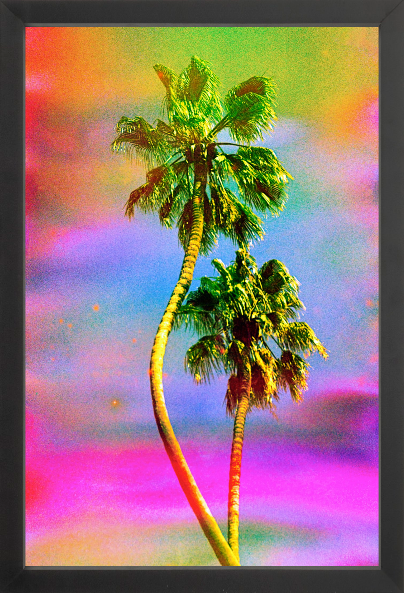 Dancing Palms