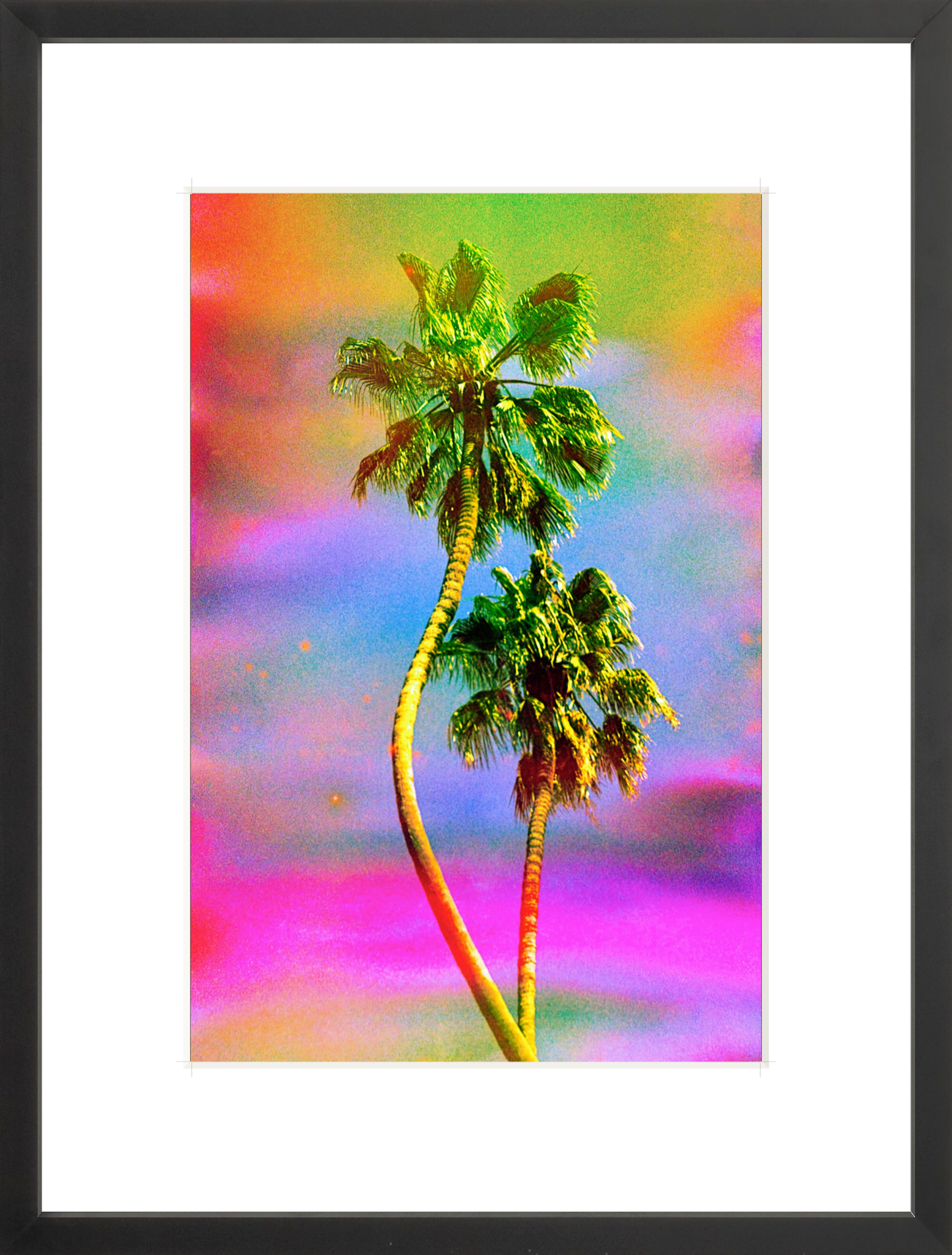 Dancing Palms