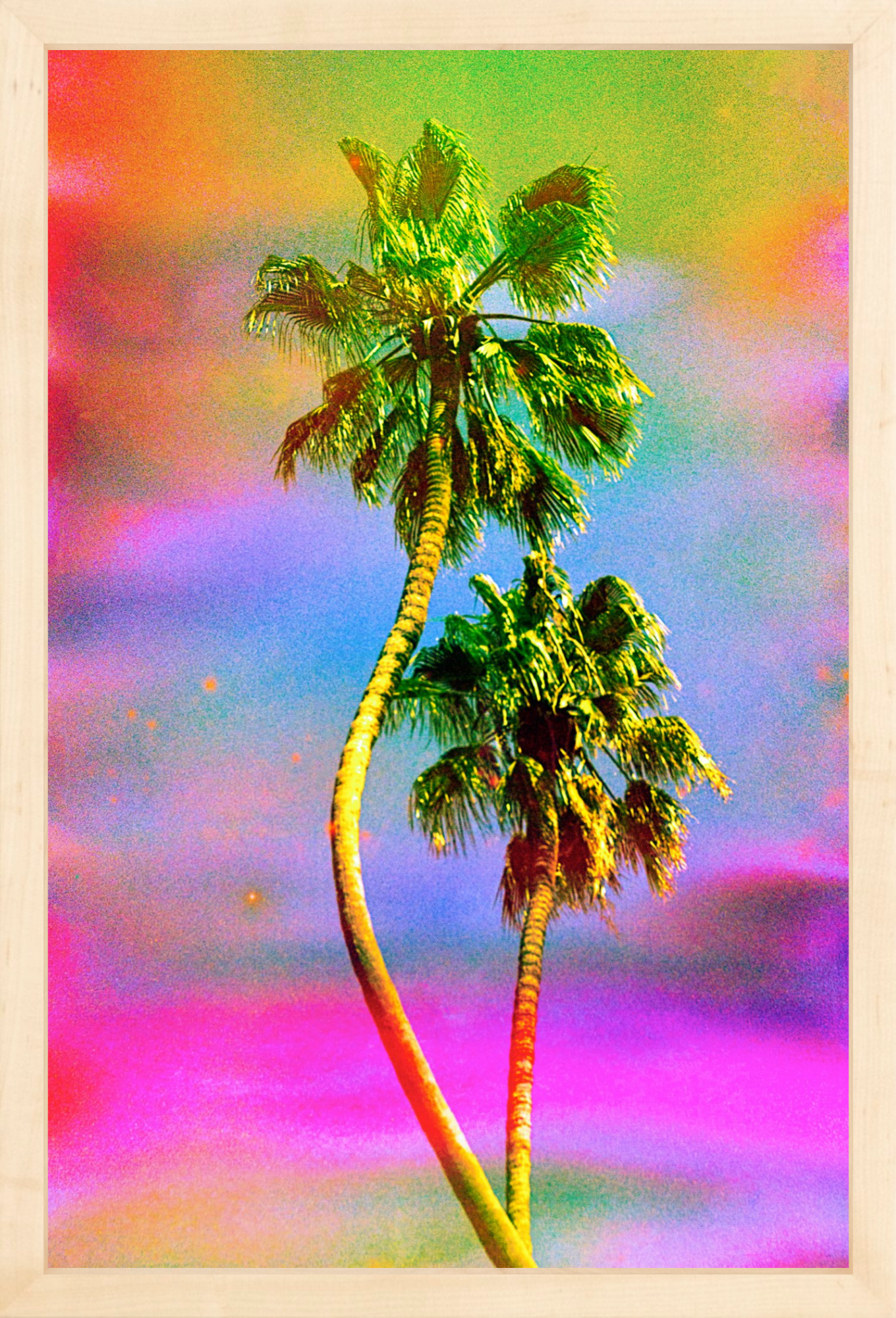 Dancing Palms