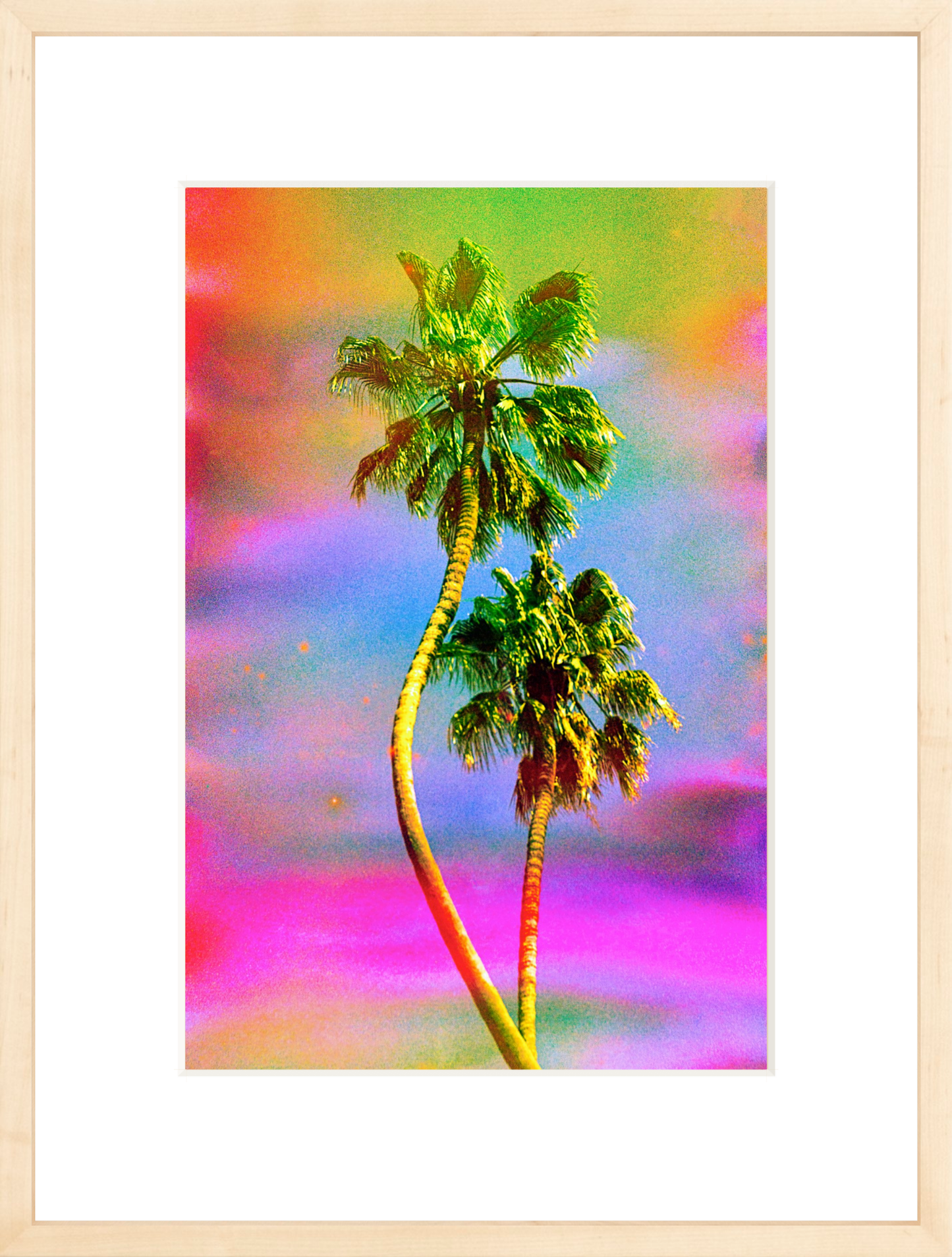 Dancing Palms