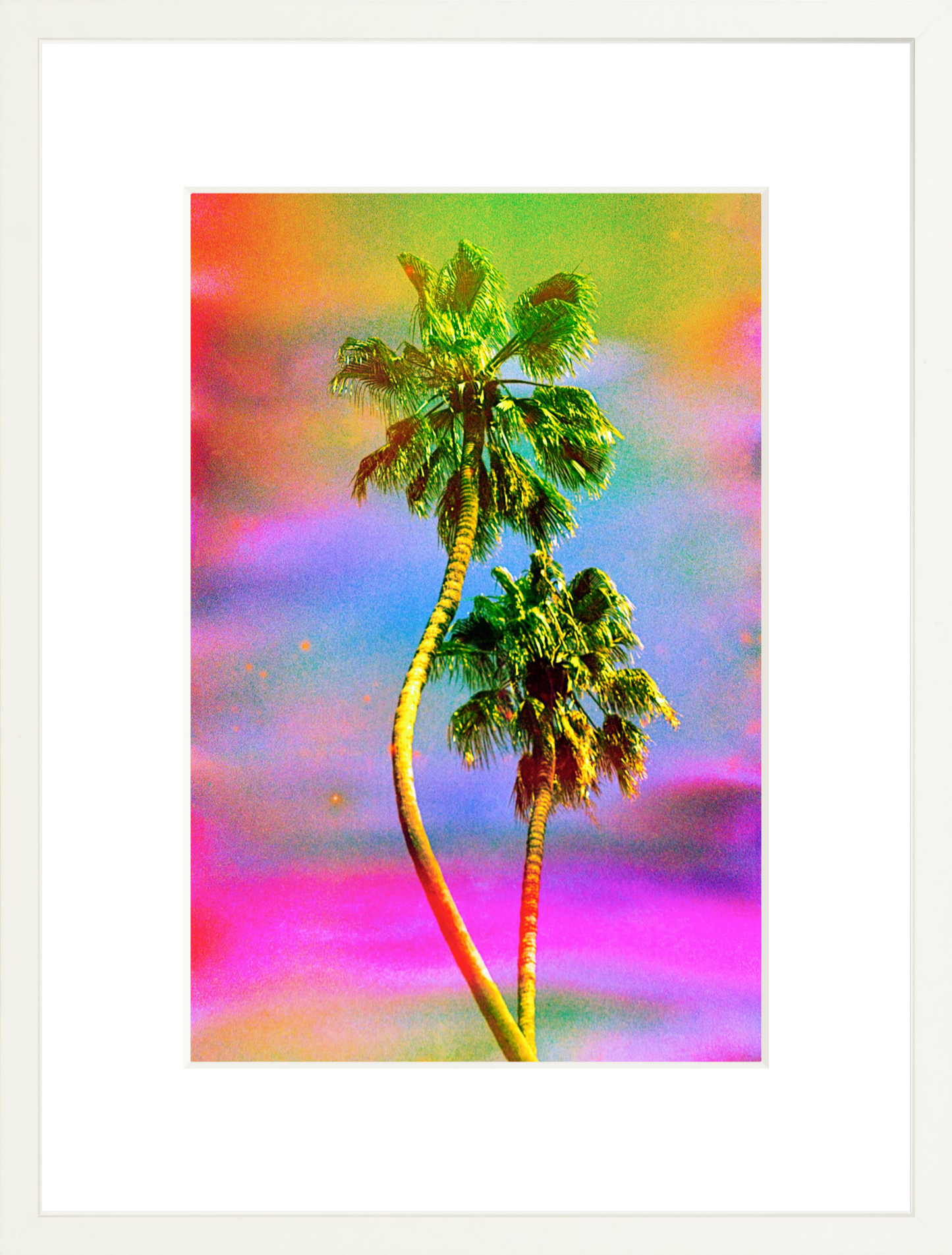 Dancing Palms