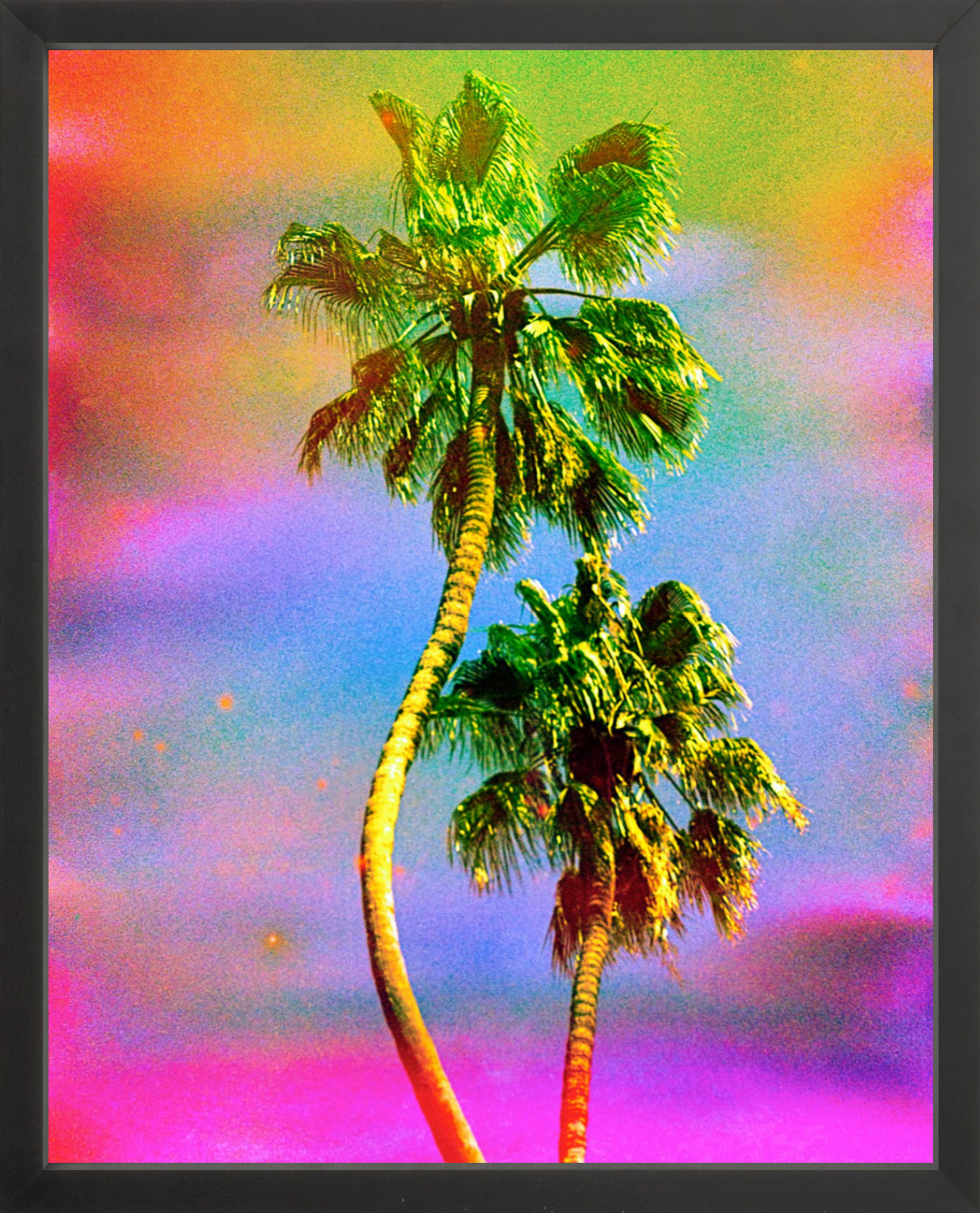 Dancing Palms