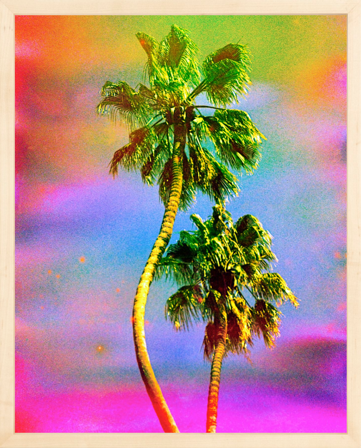 Dancing Palms