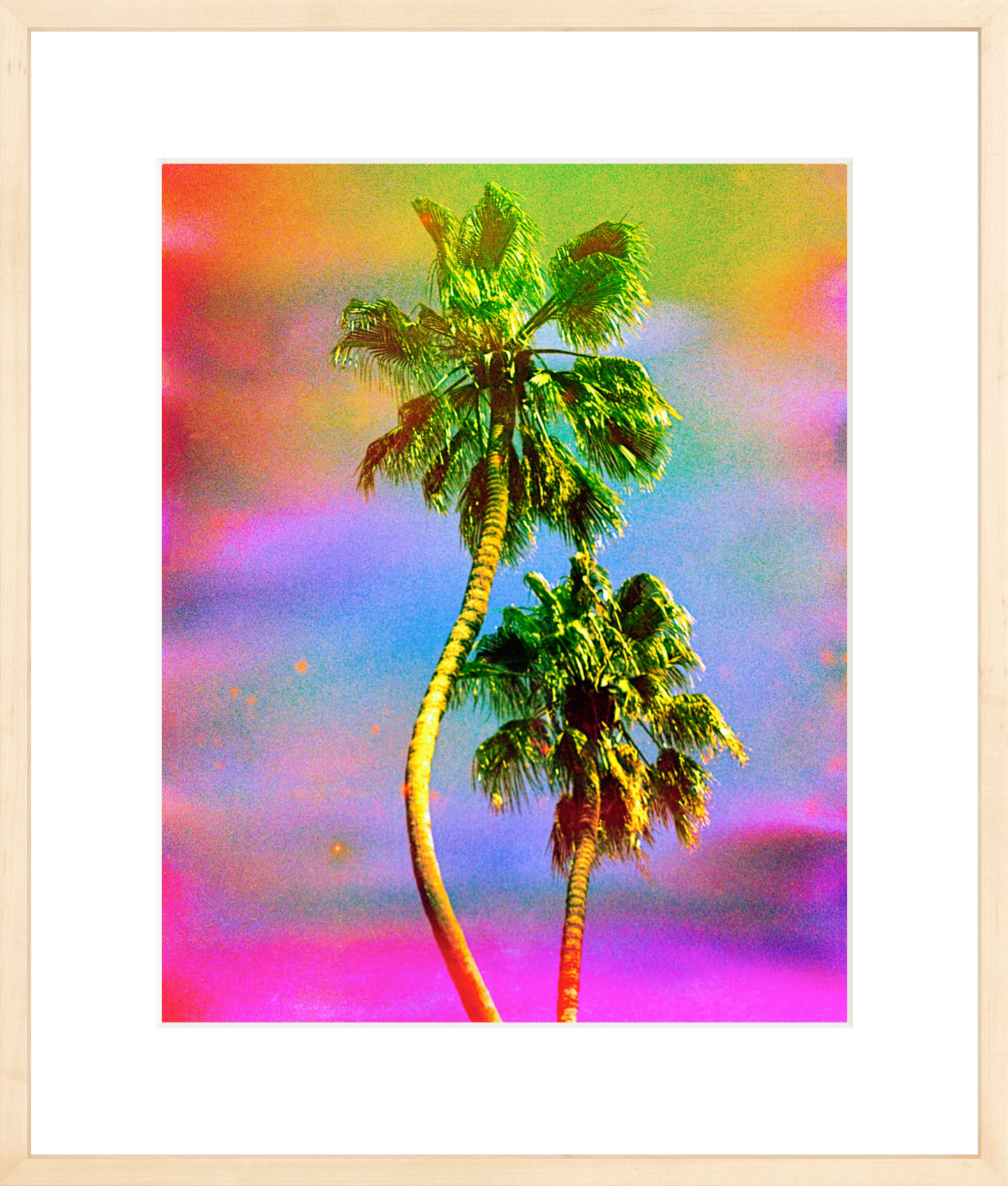 Dancing Palms