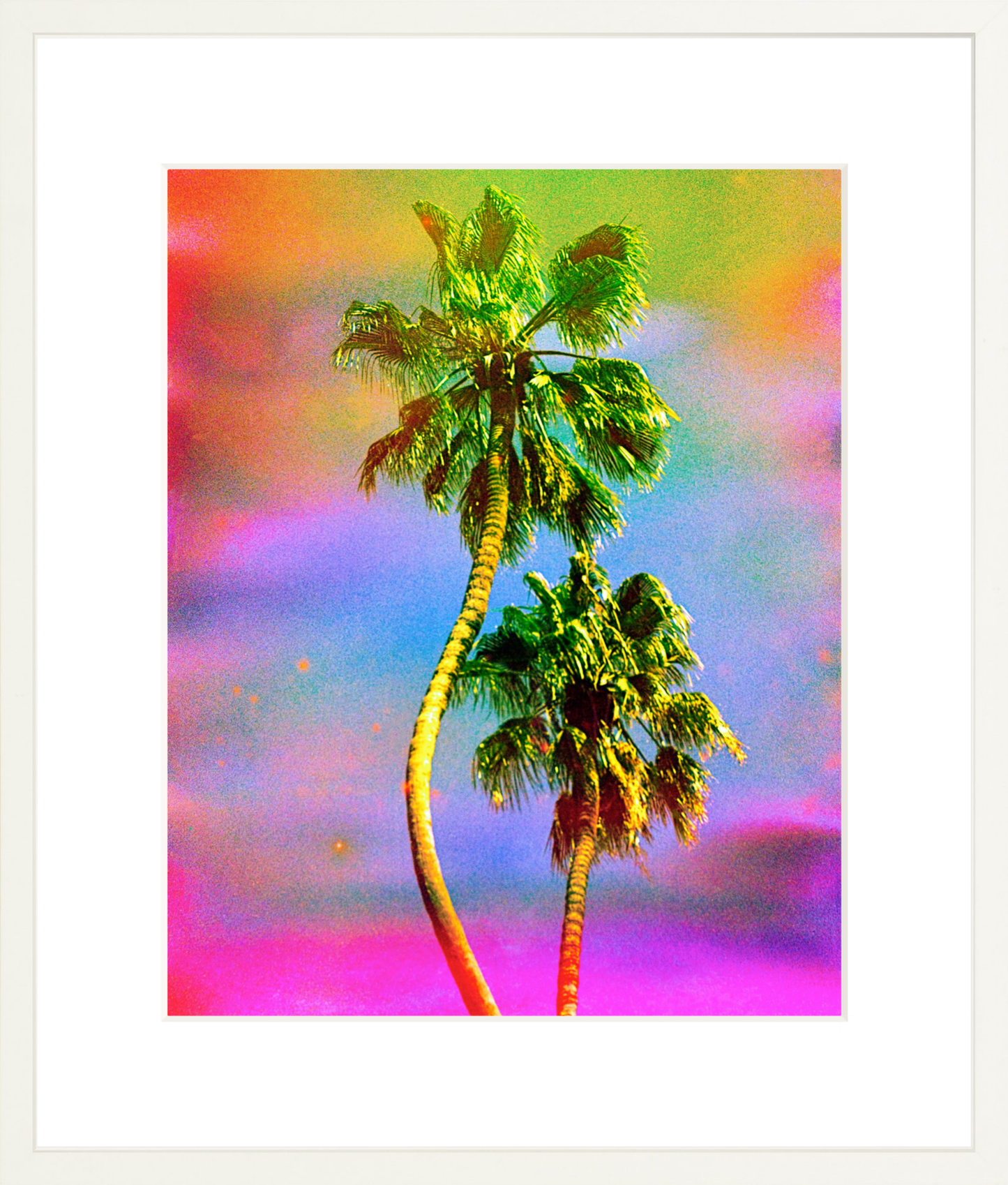 Dancing Palms