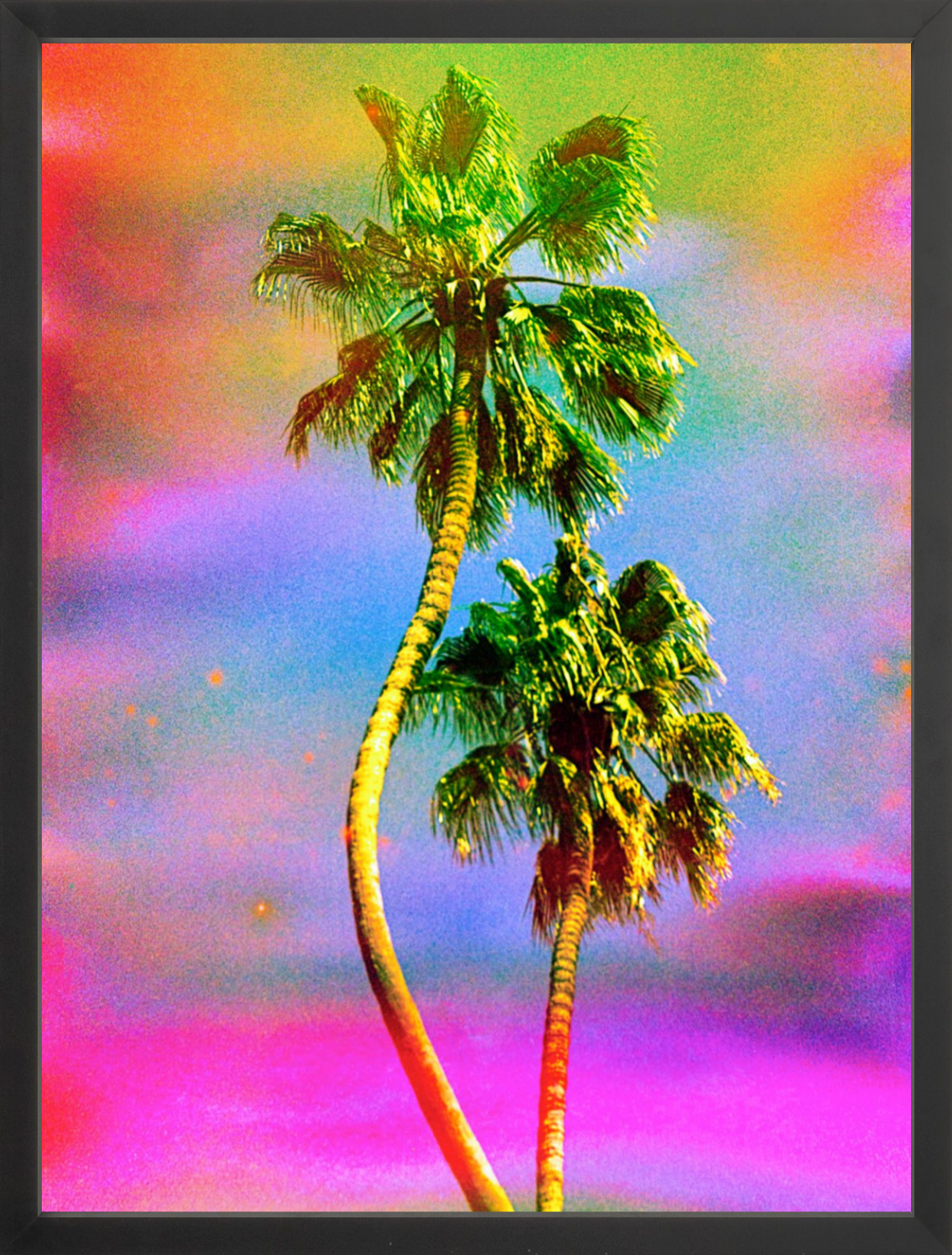 Dancing Palms