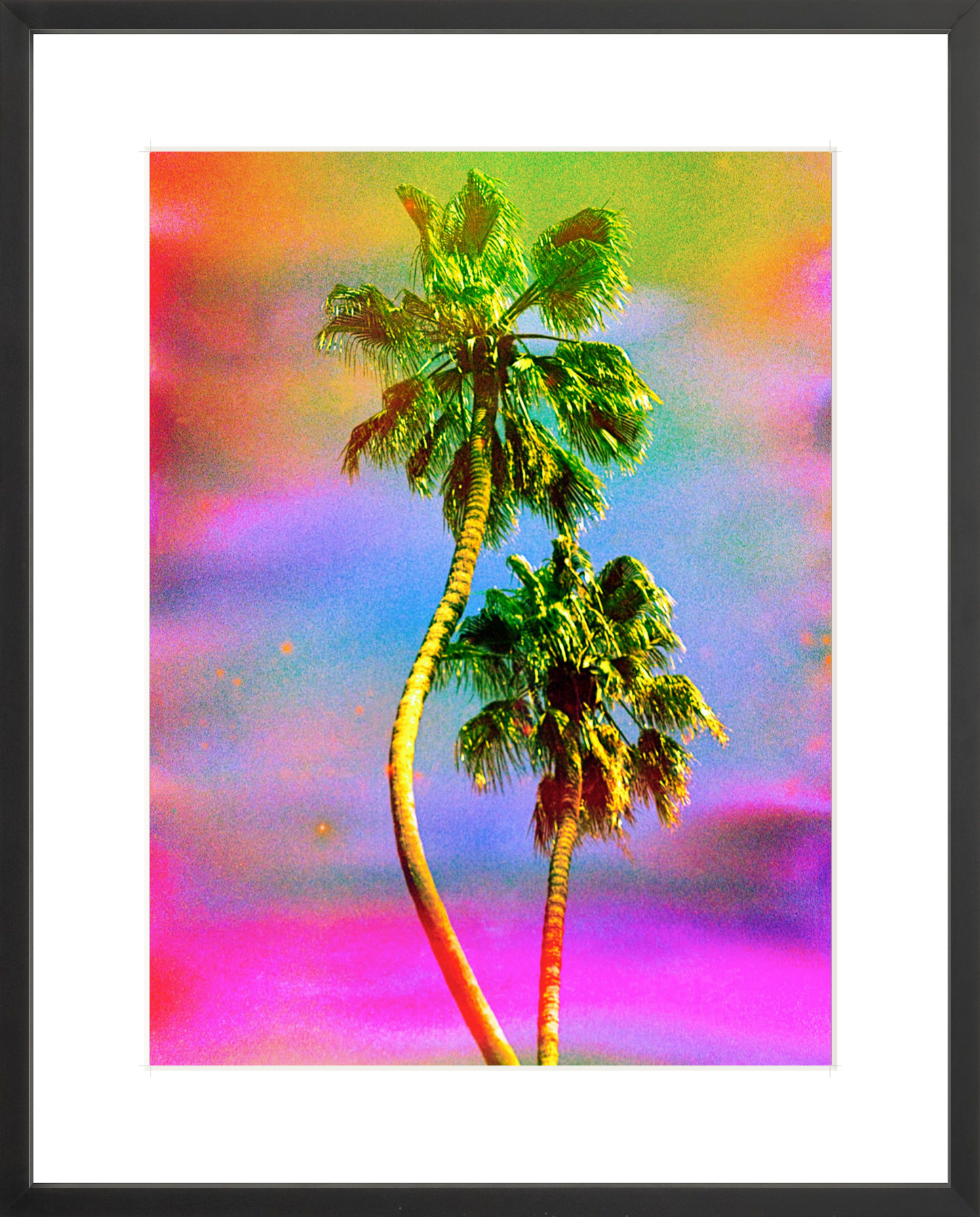 Dancing Palms