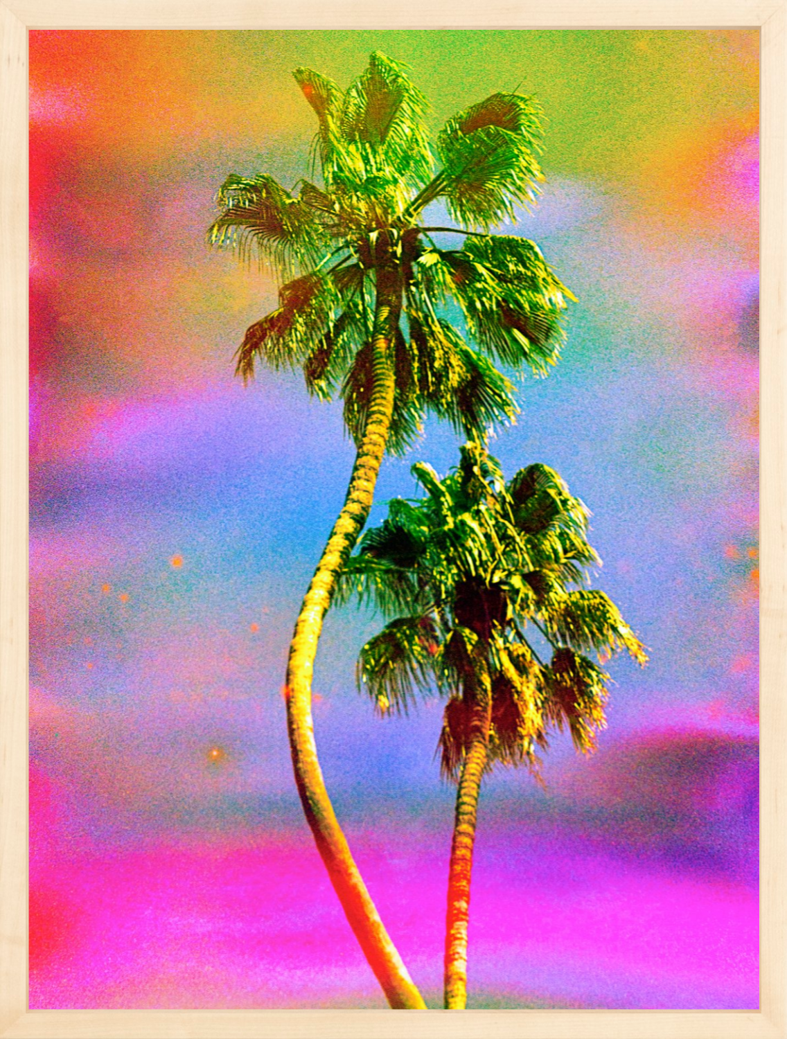 Dancing Palms