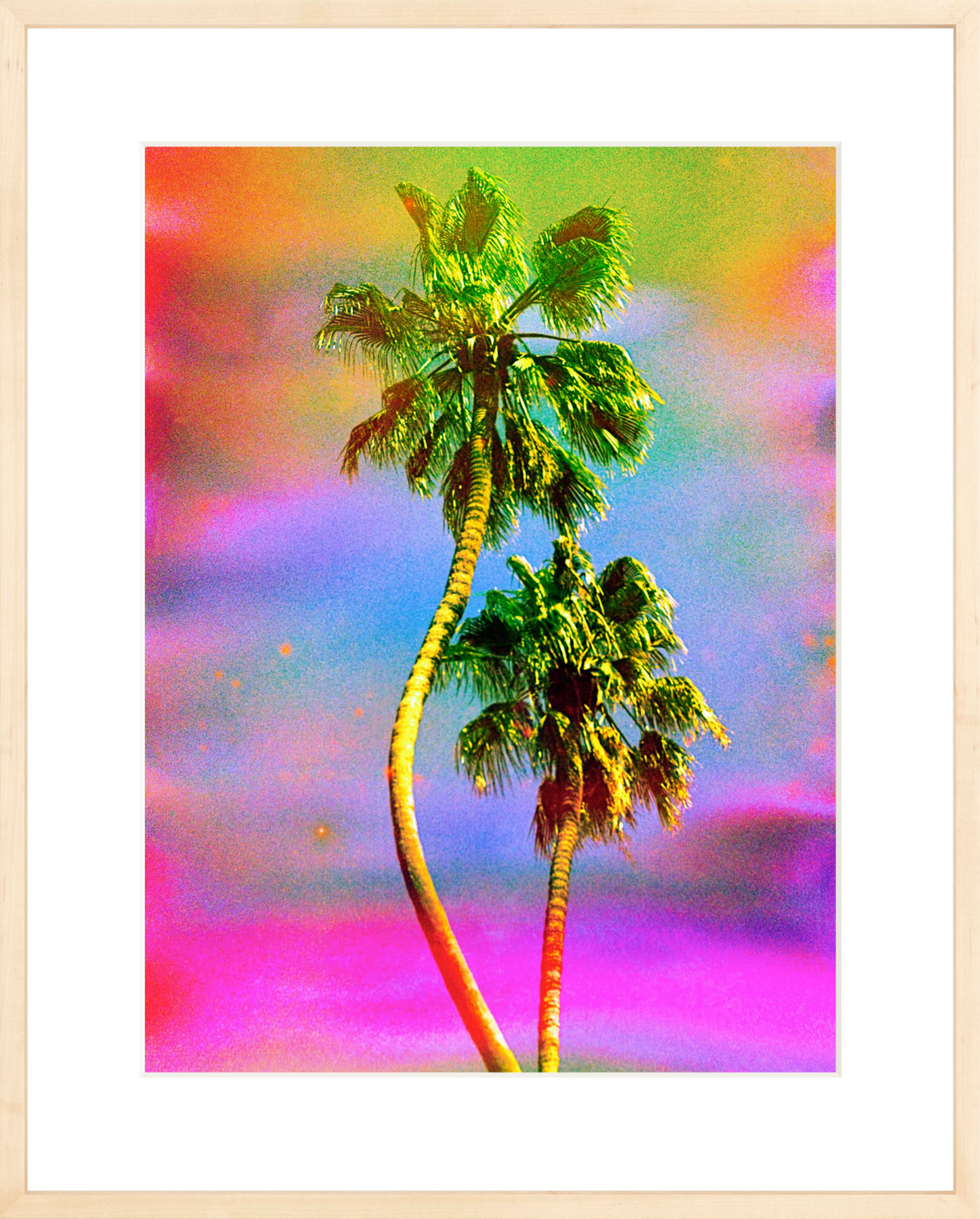 Dancing Palms