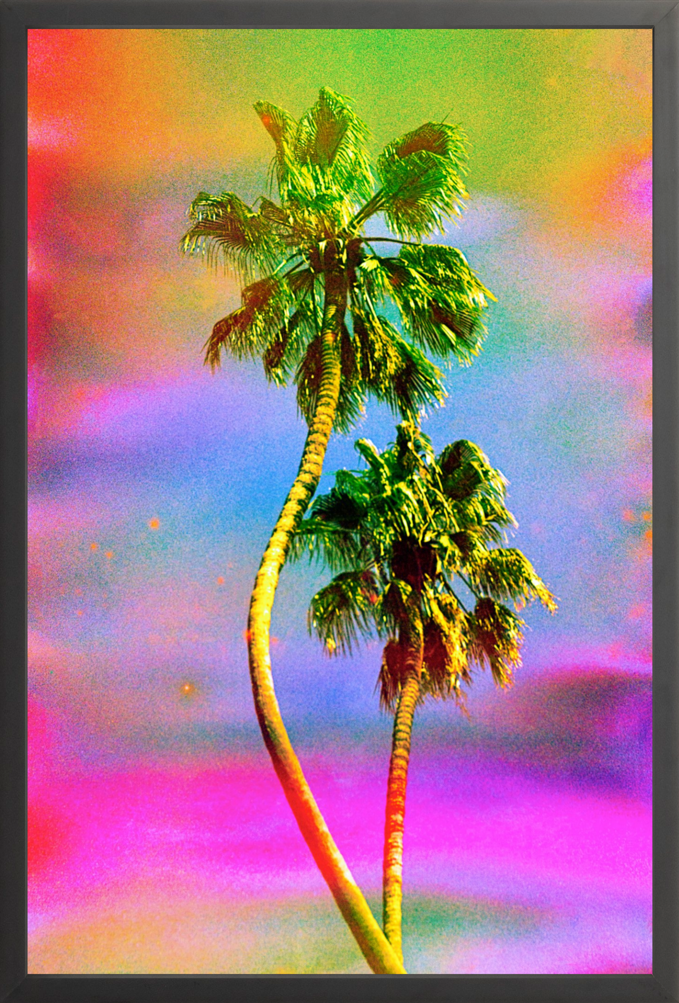 Dancing Palms