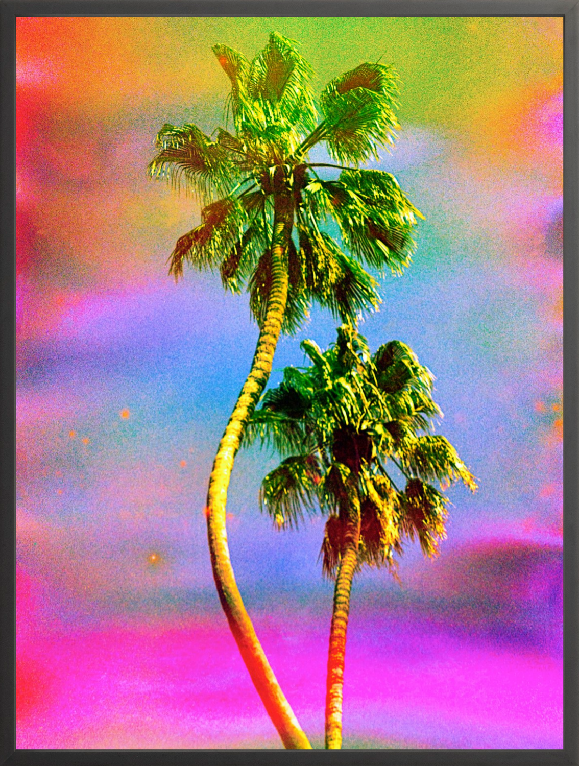 Dancing Palms