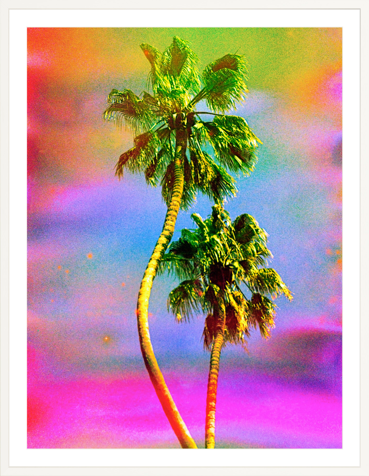 Dancing Palms