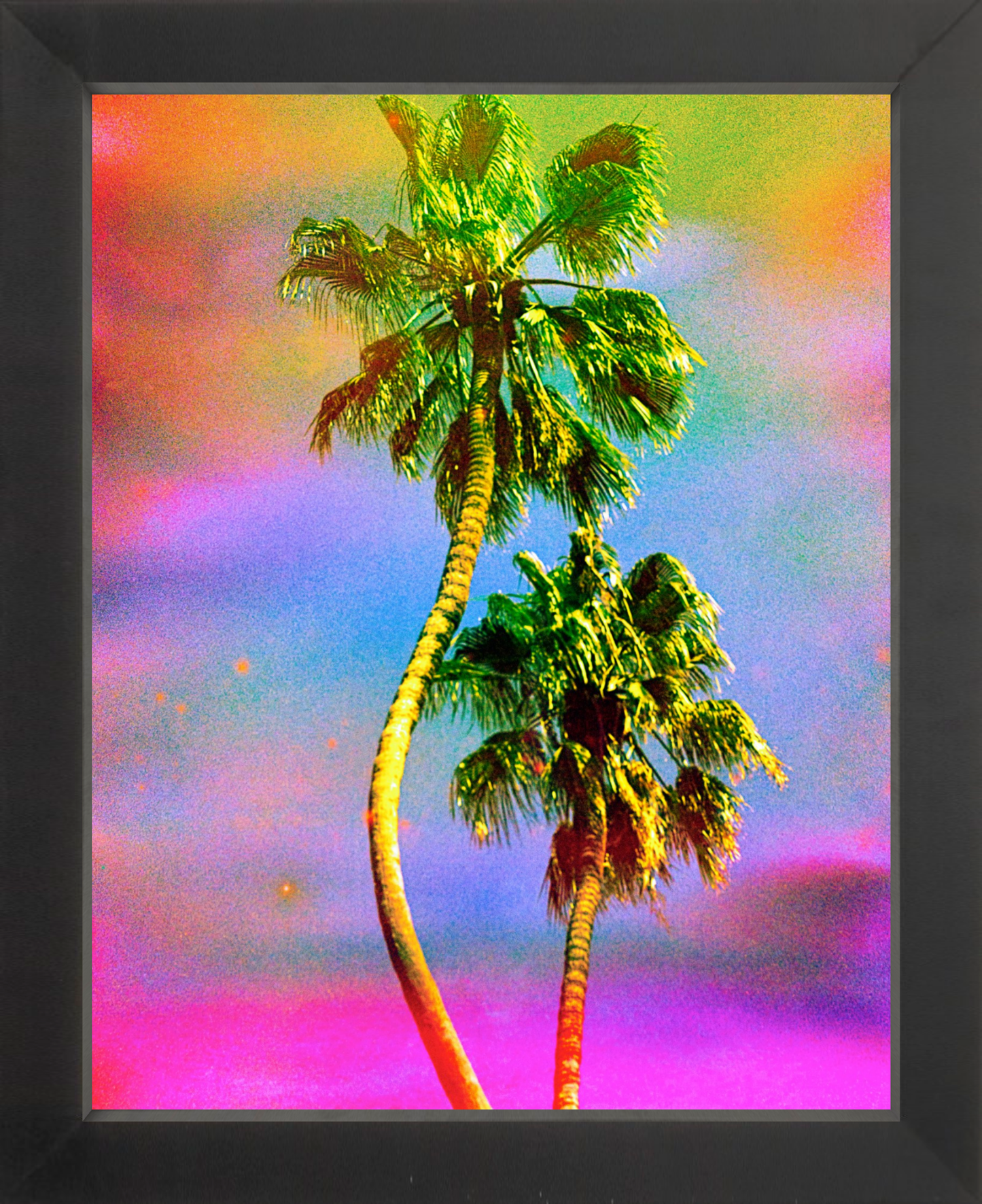 Dancing Palms