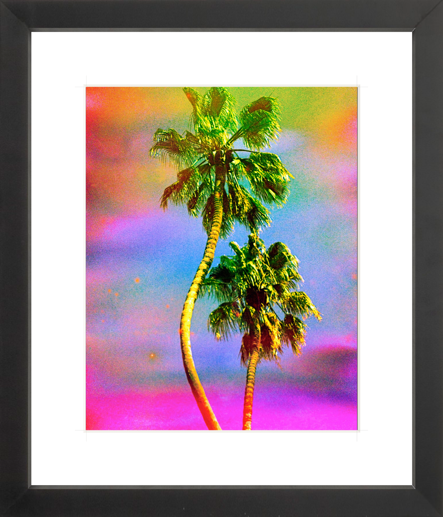 Dancing Palms