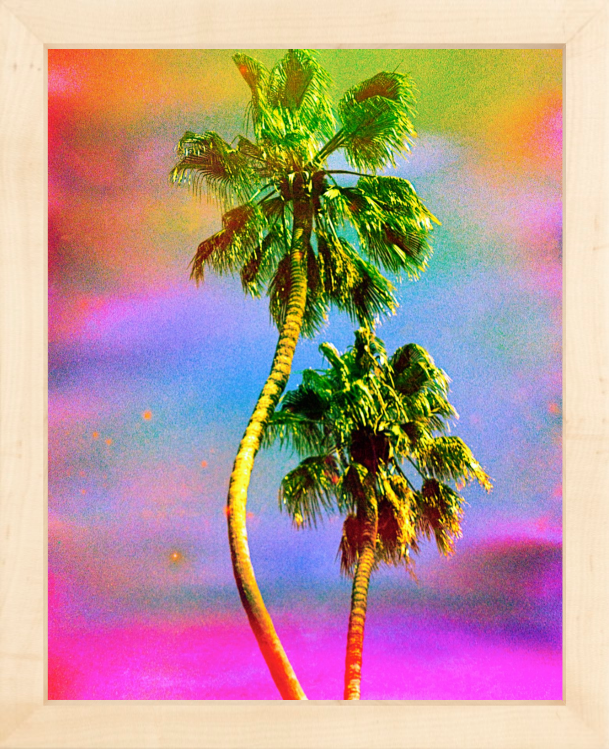 Dancing Palms