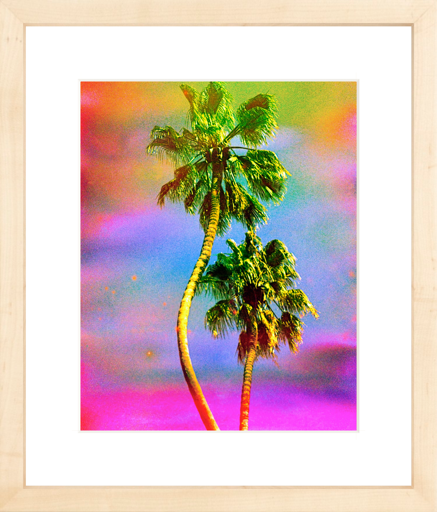 Dancing Palms