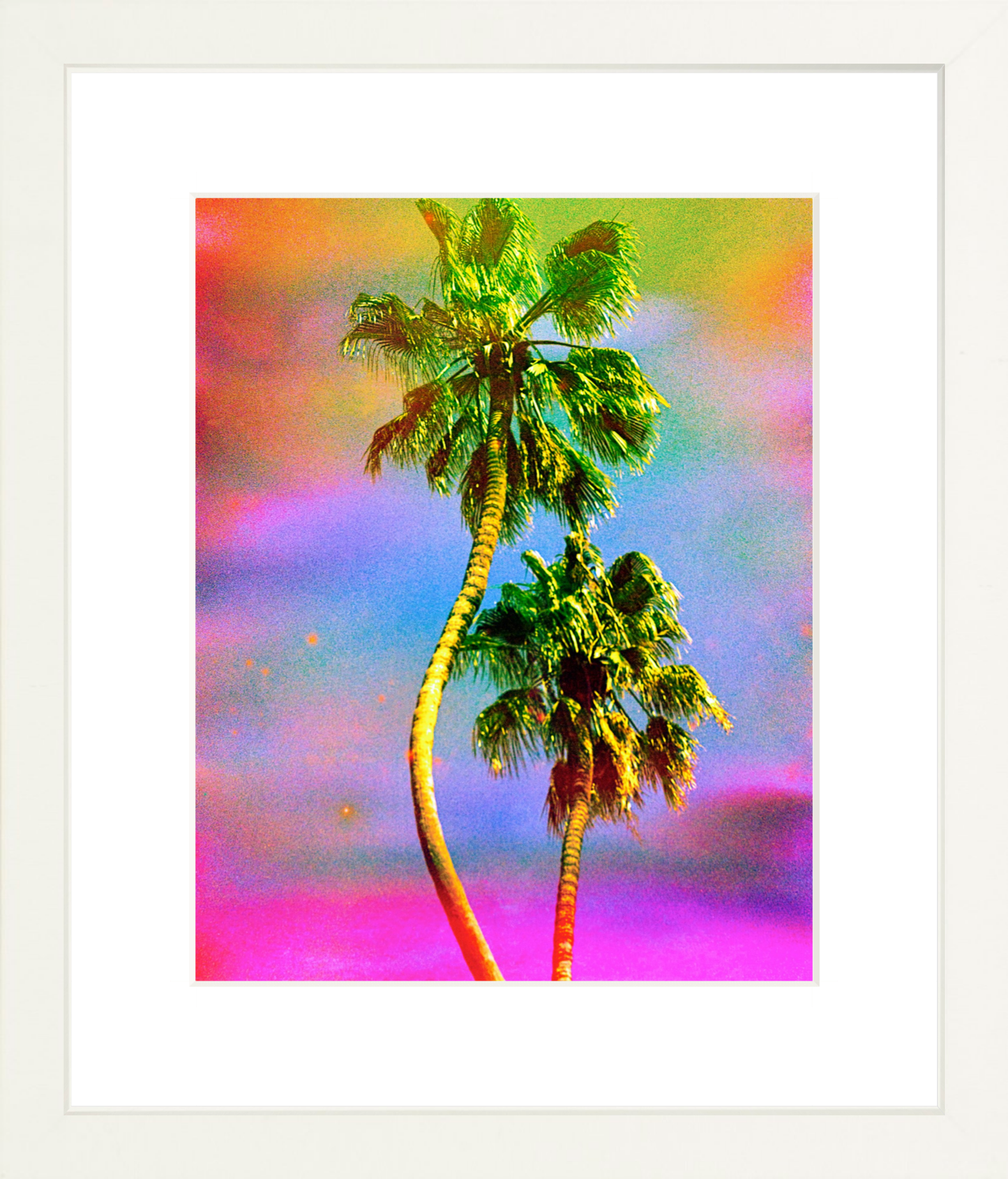 Dancing Palms