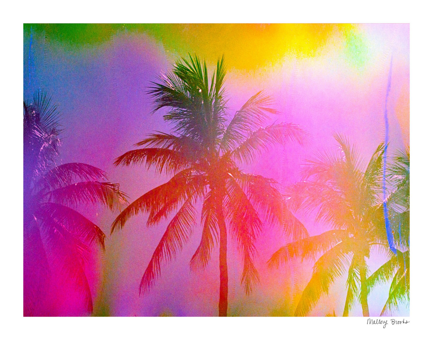 Electric Paradise No. 1