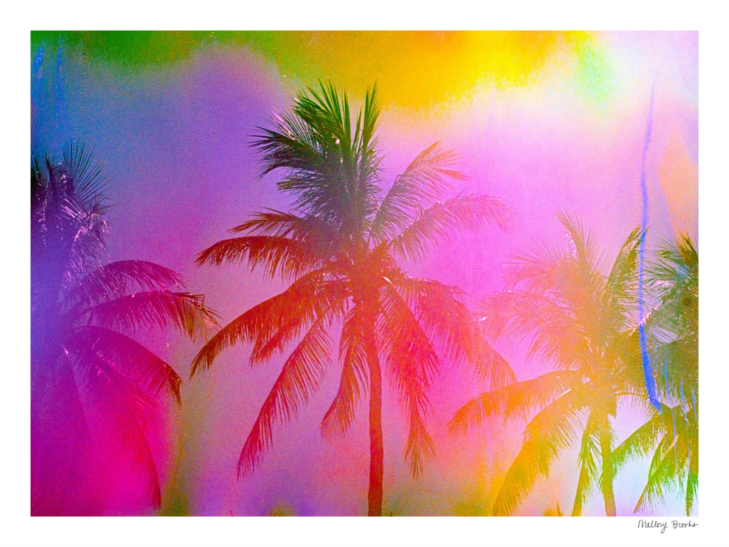 Electric Paradise No. 1