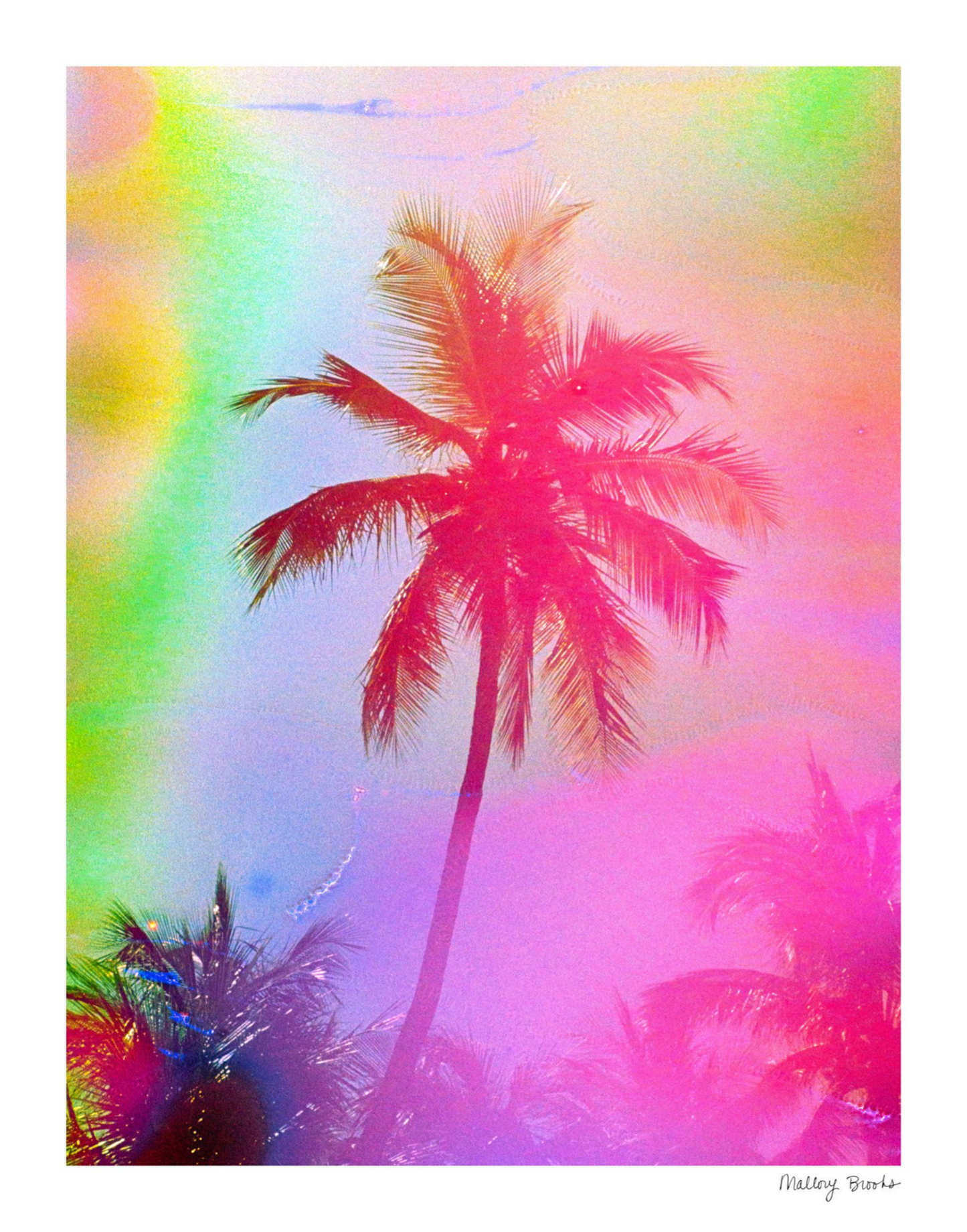 Electric Paradise No. 2