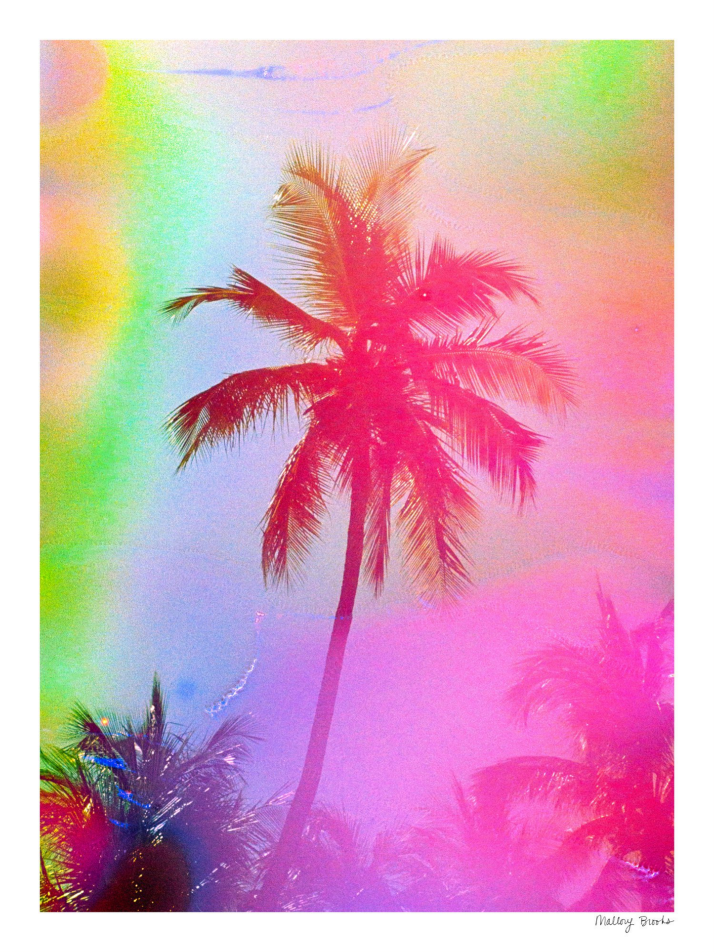 Electric Paradise No. 2