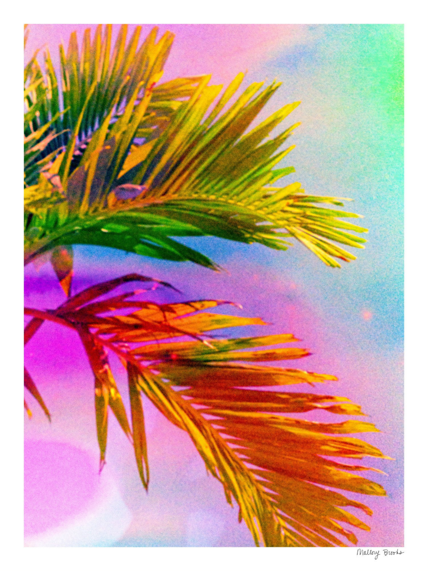 Electric Paradise No. 3