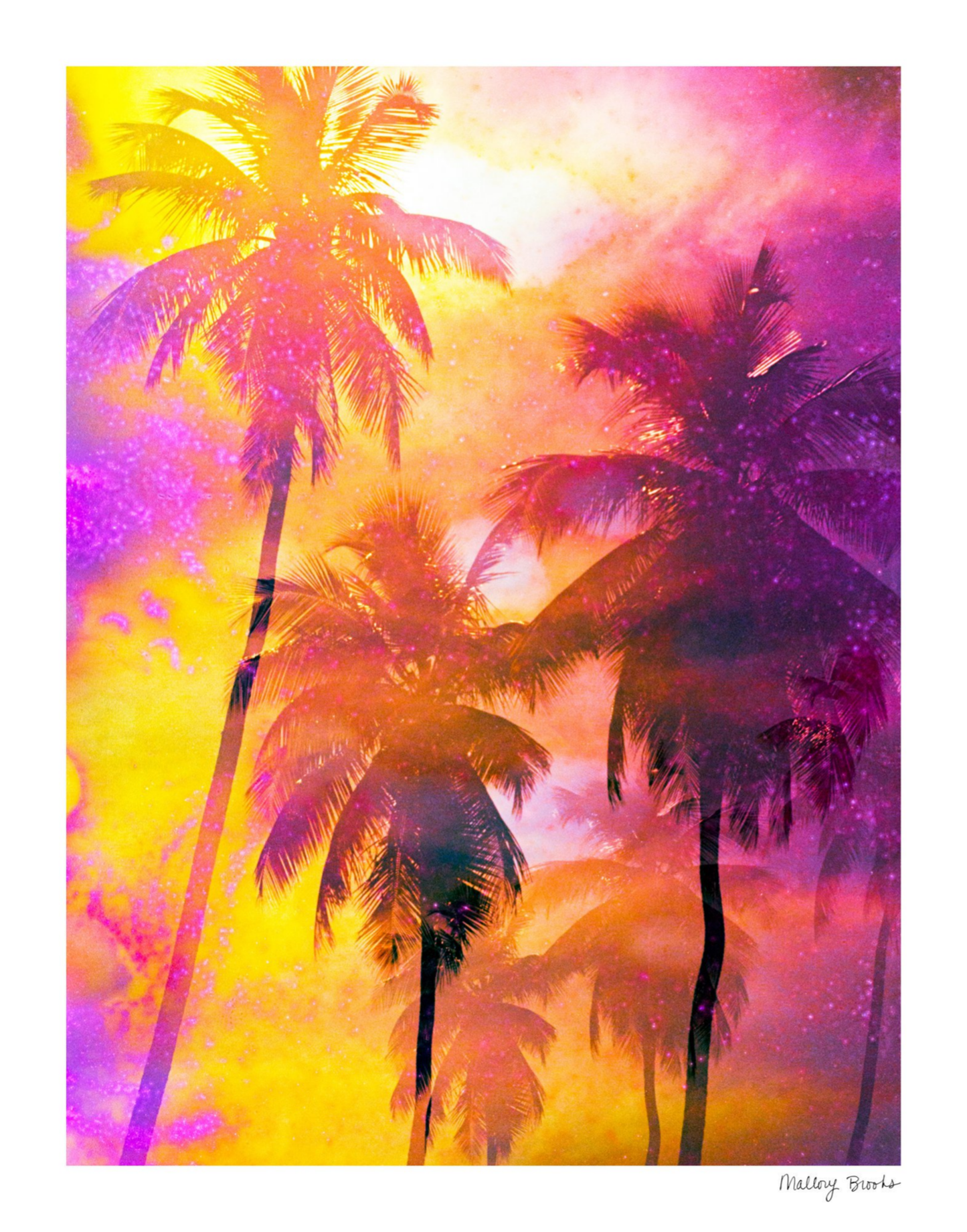 Electric Paradise No. 4