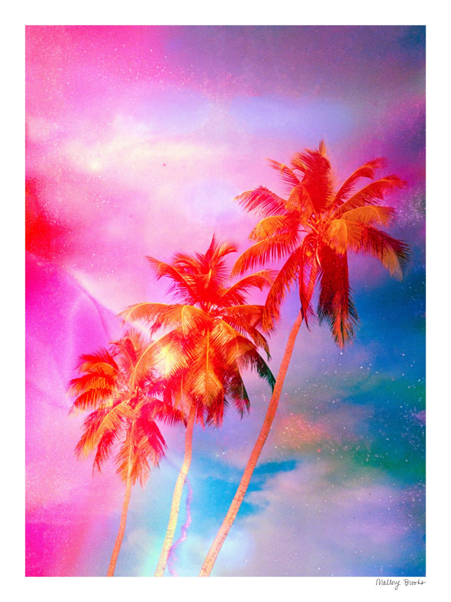 Electric Paradise No. 5