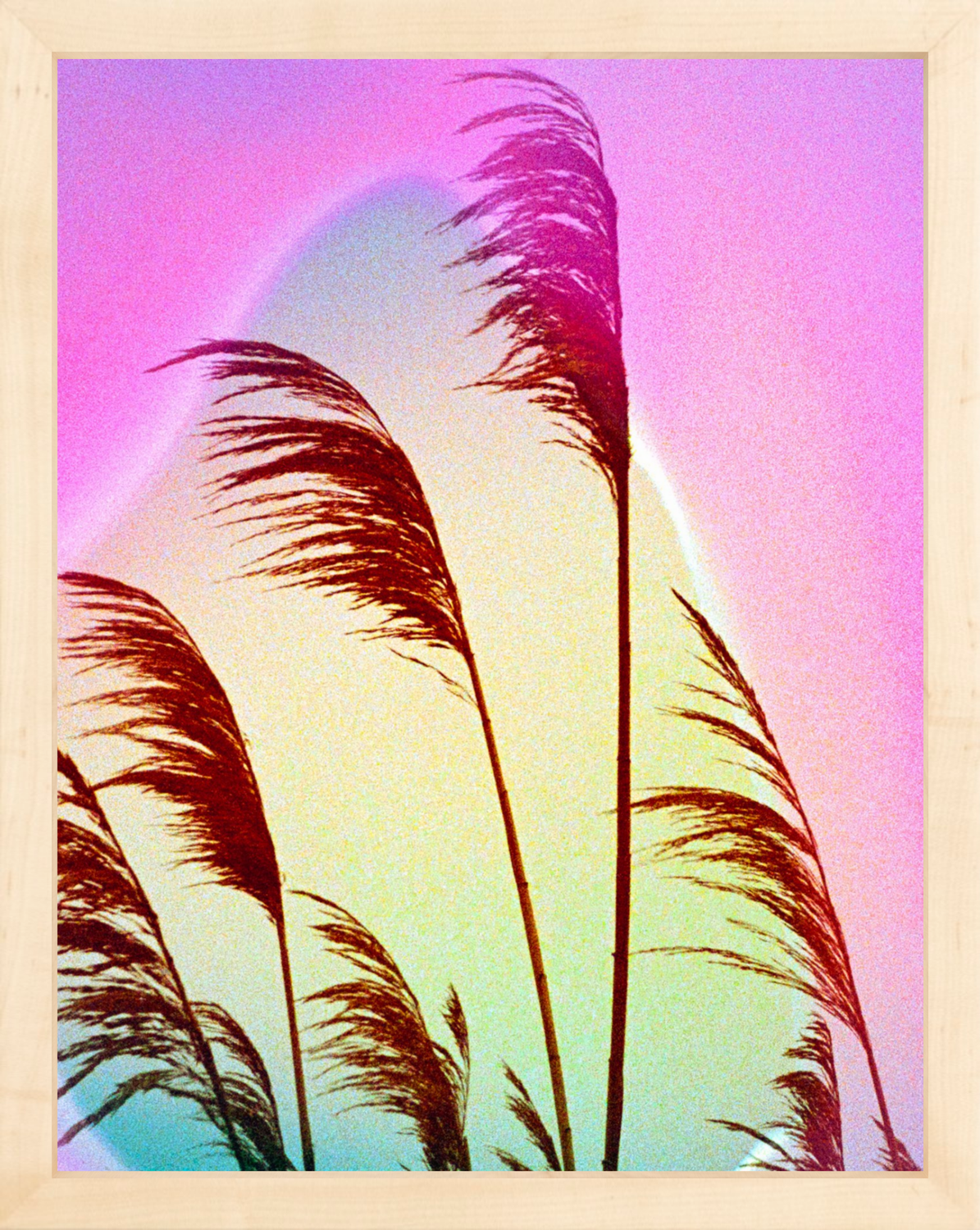 Feather Oats