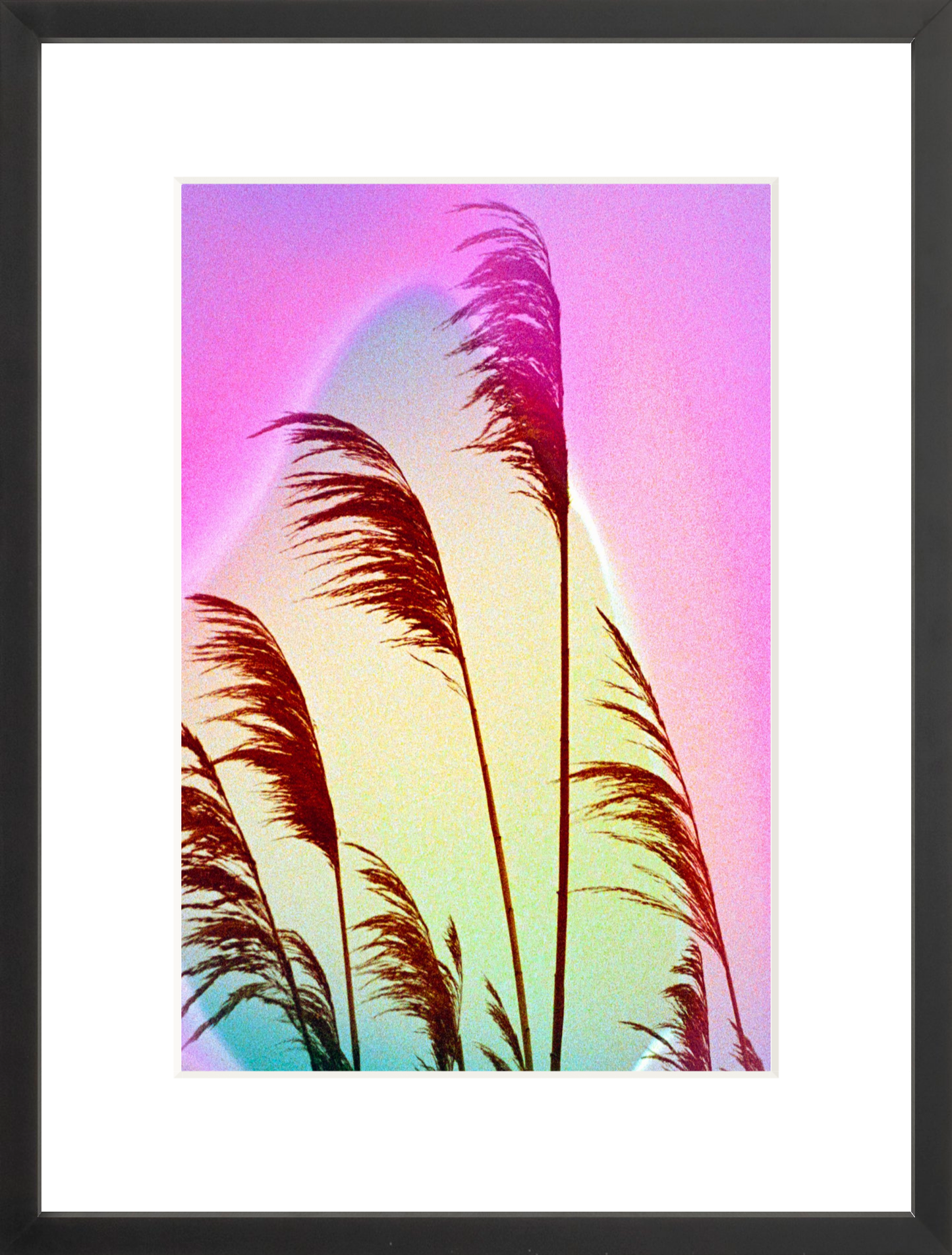 Feather Oats