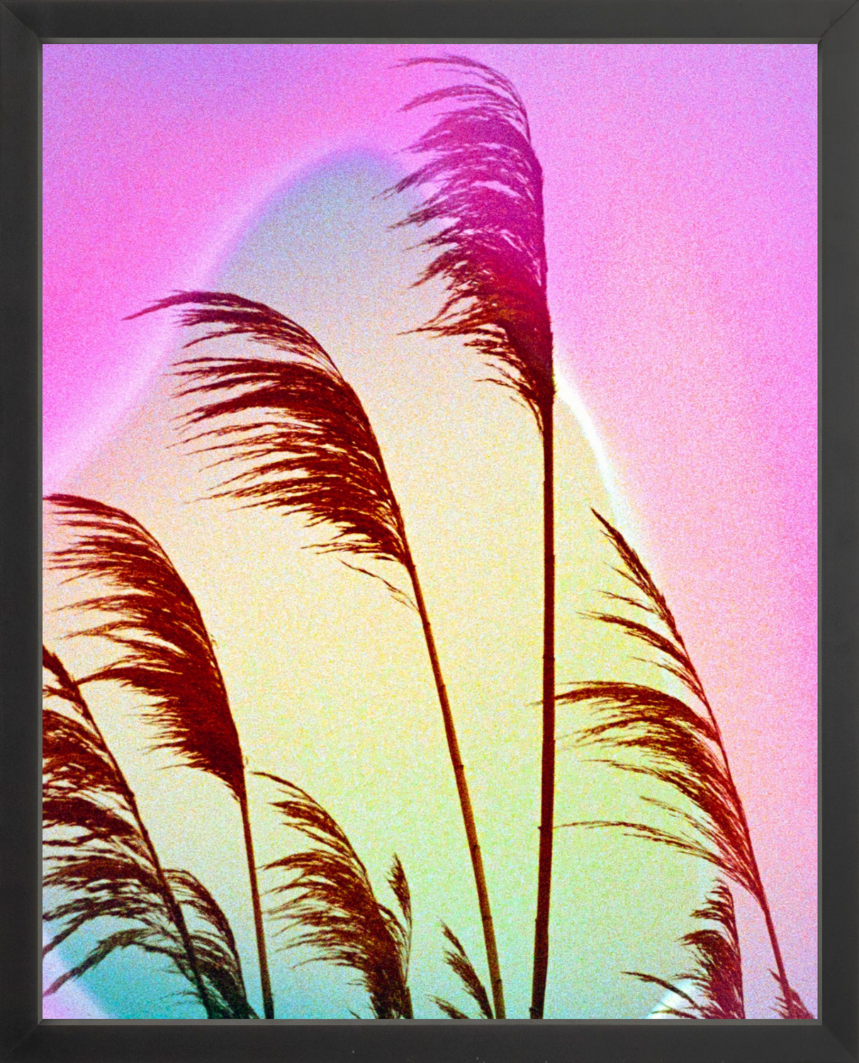 Feather Oats