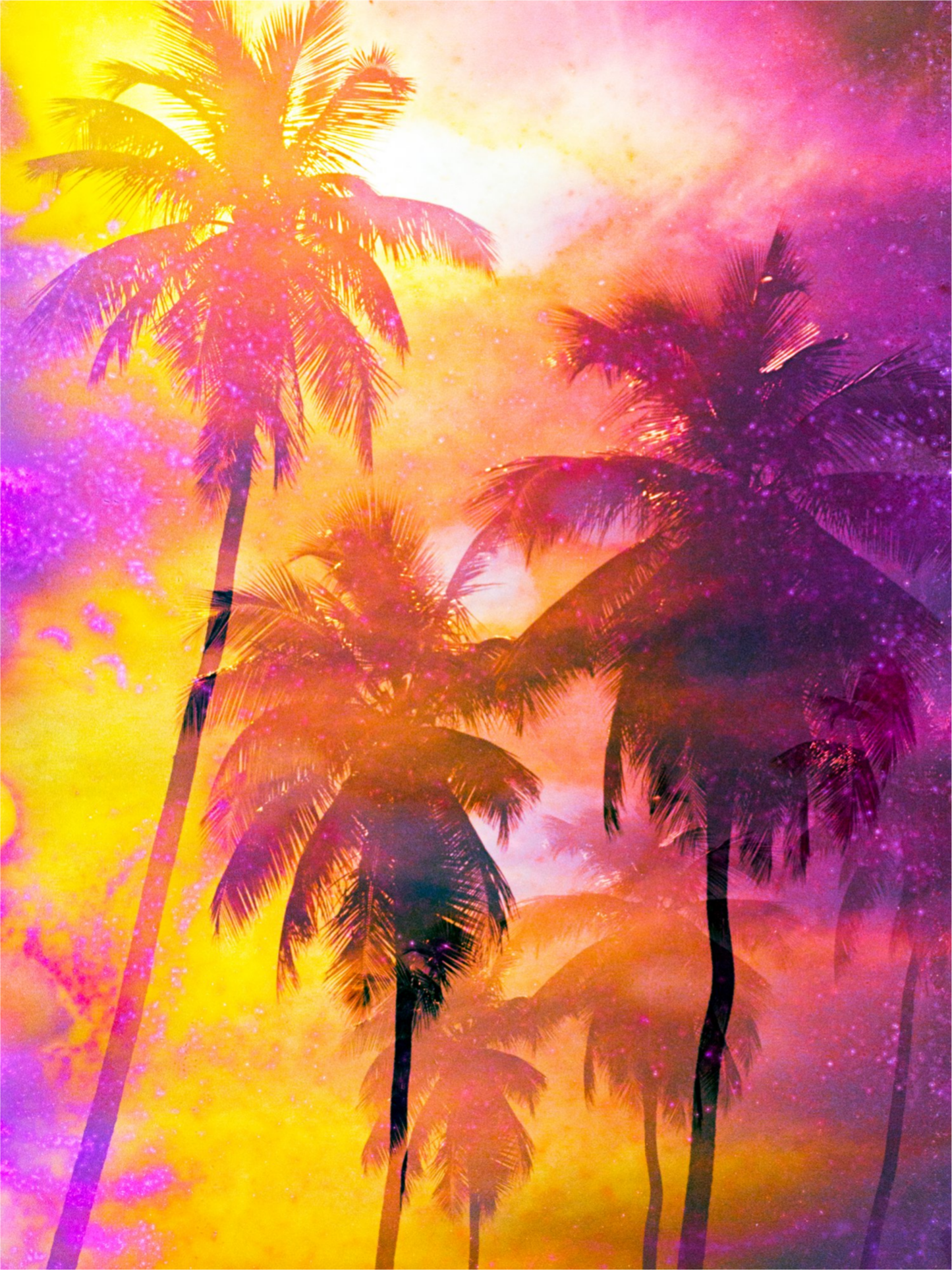 Hot Tropics Palms