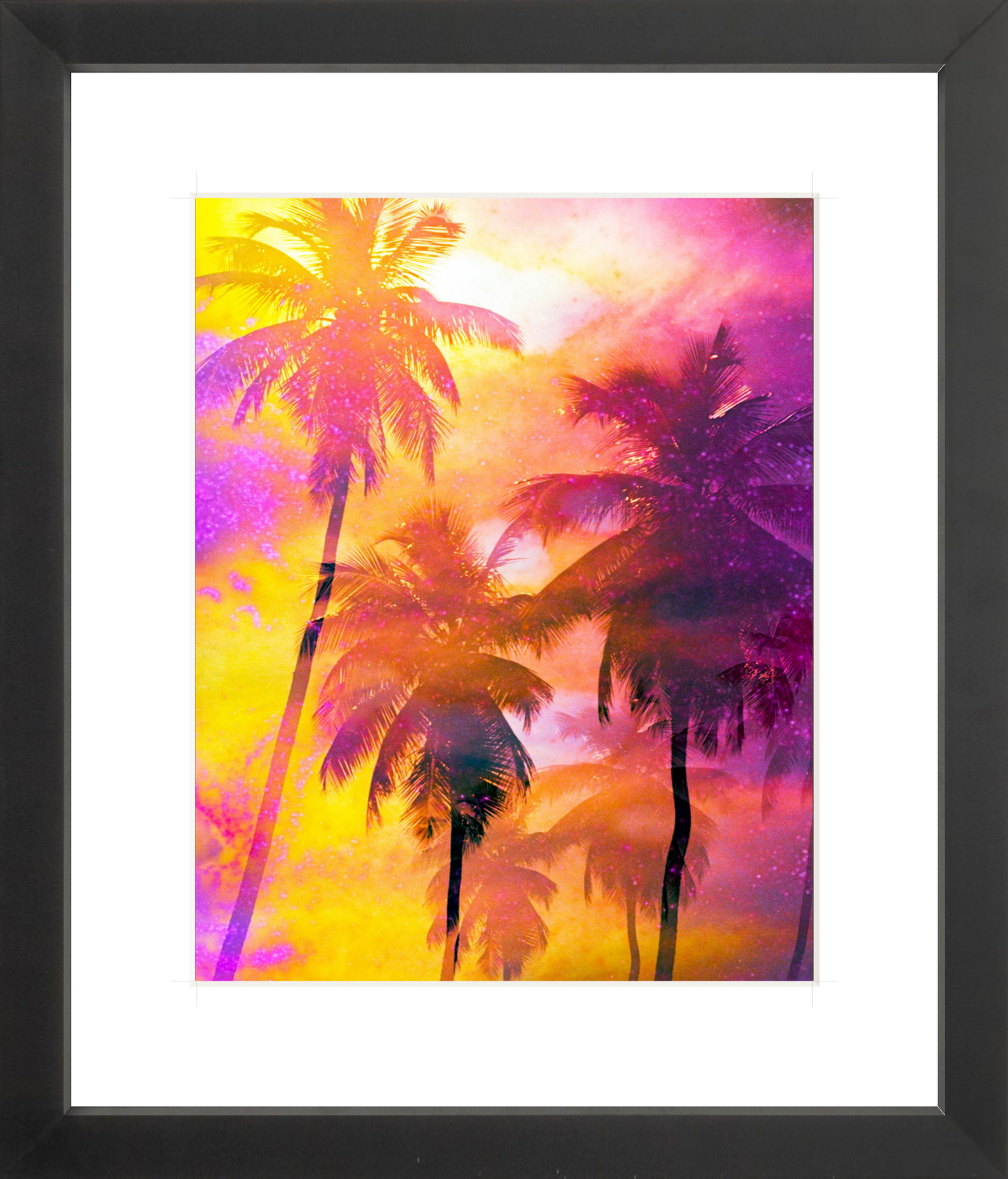 Hot Tropics Palms