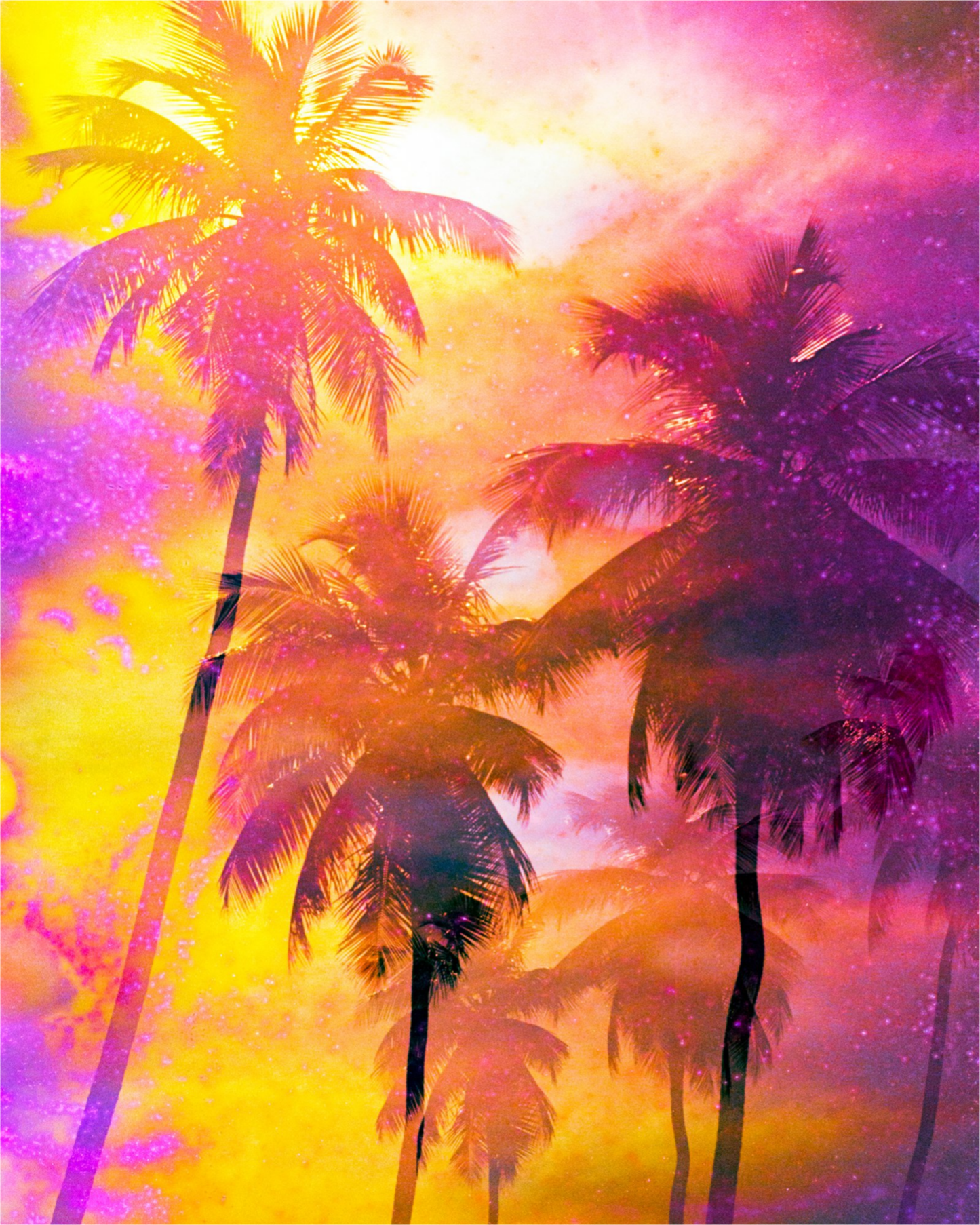 Hot Tropics Palms