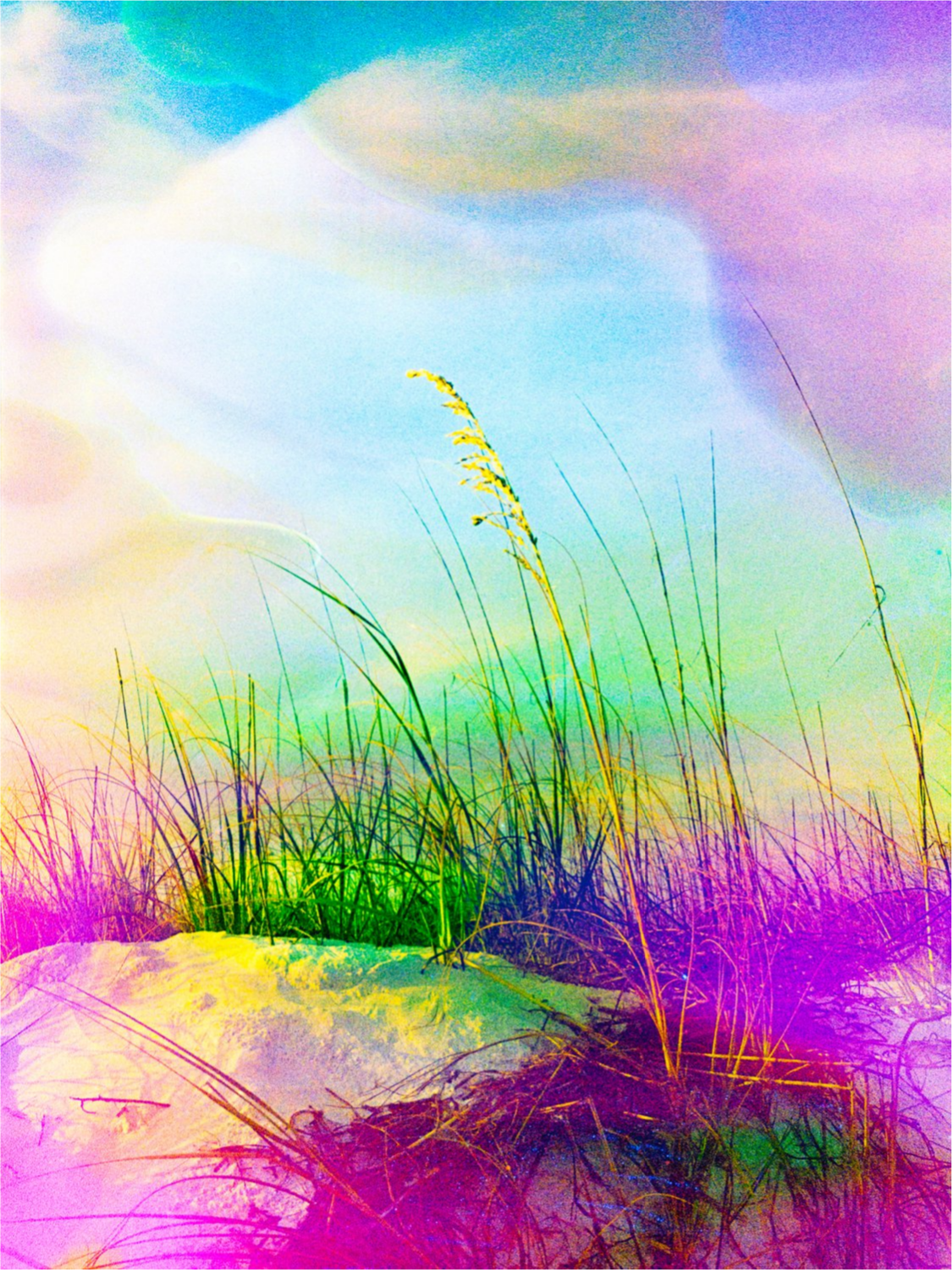 Neon Sea Oats