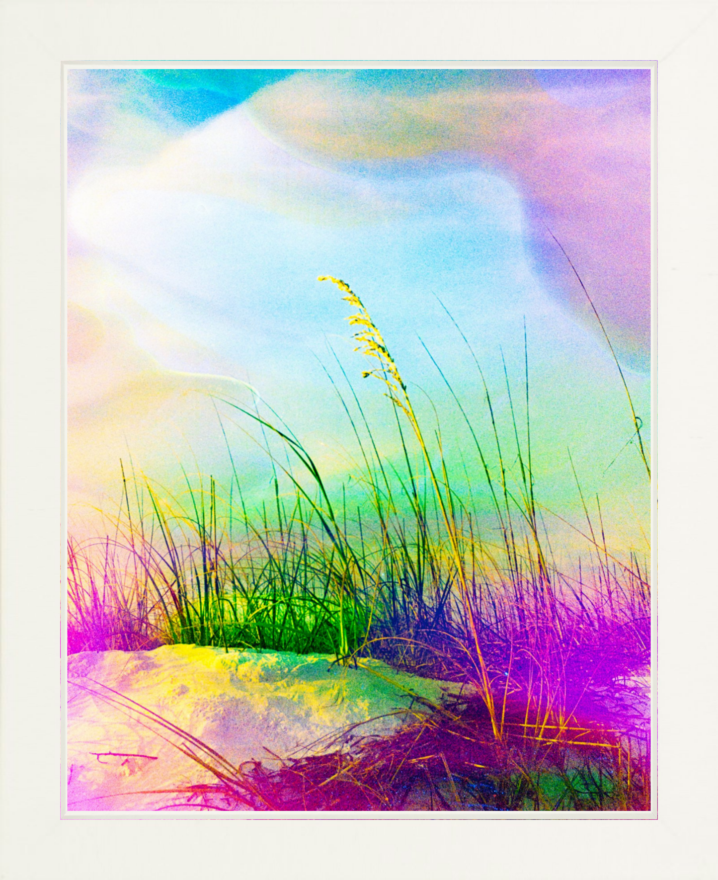 Neon Sea Oats