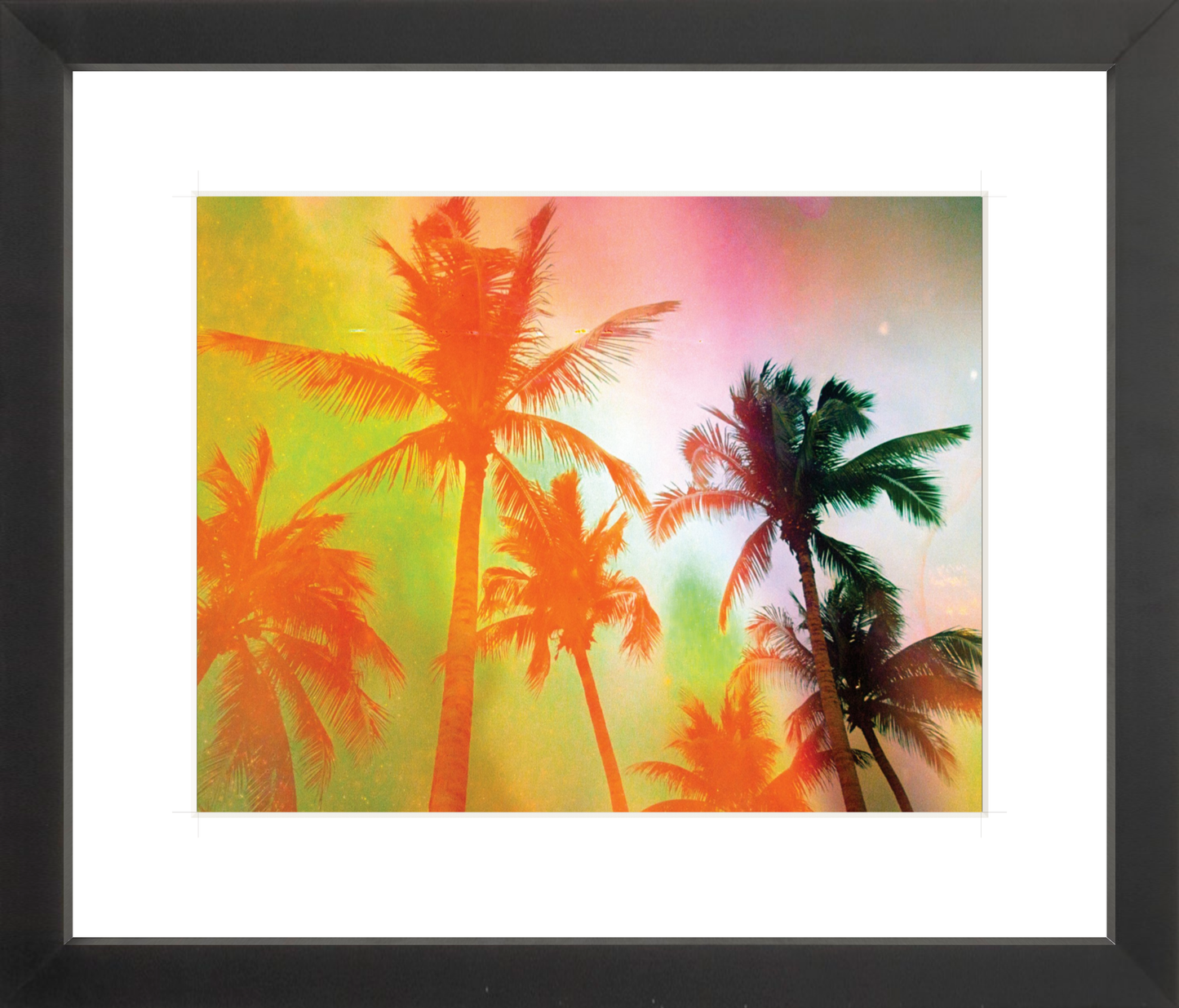 Neon Tropical Palms