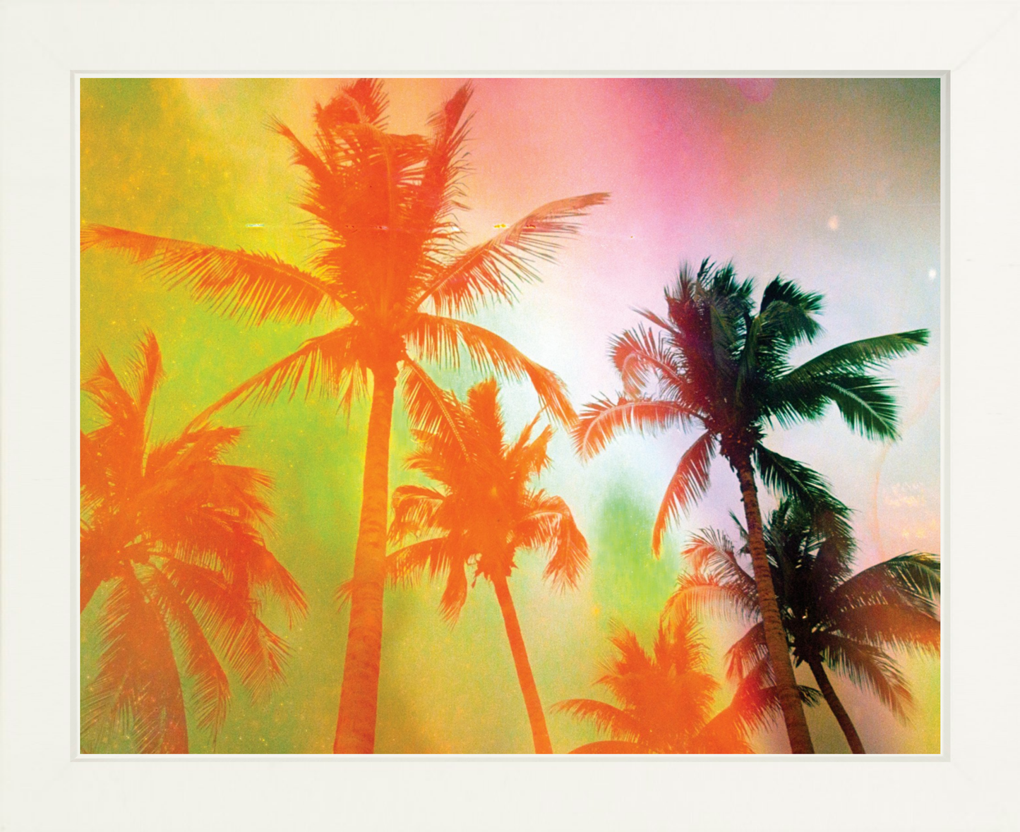 Neon Tropical Palms