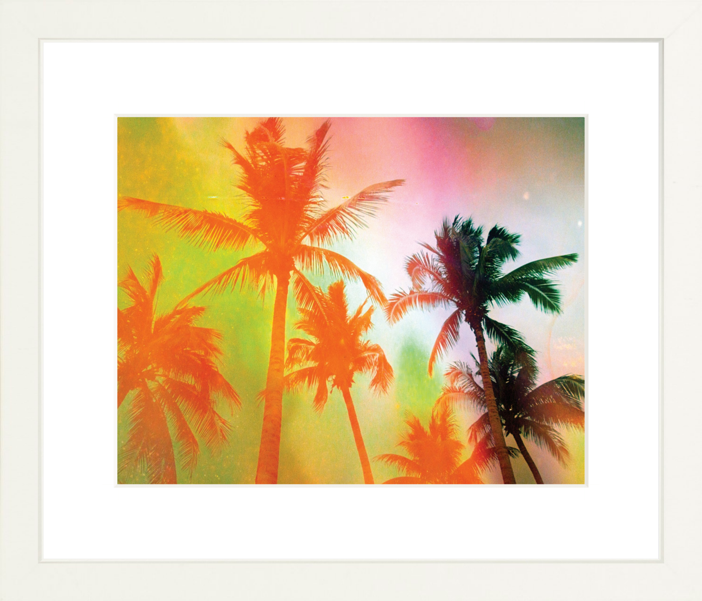 Neon Tropical Palms