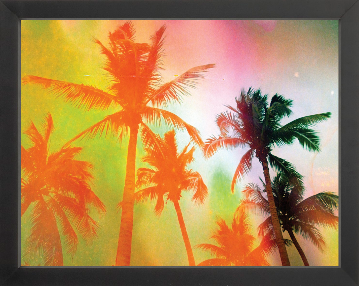 Neon Tropical Palms