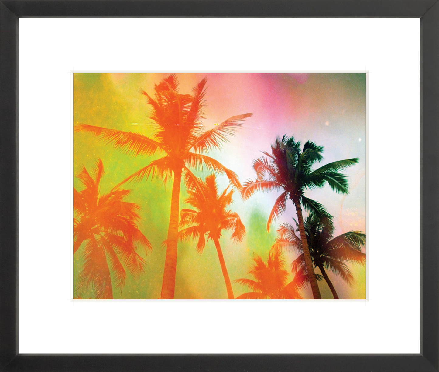 Neon Tropical Palms