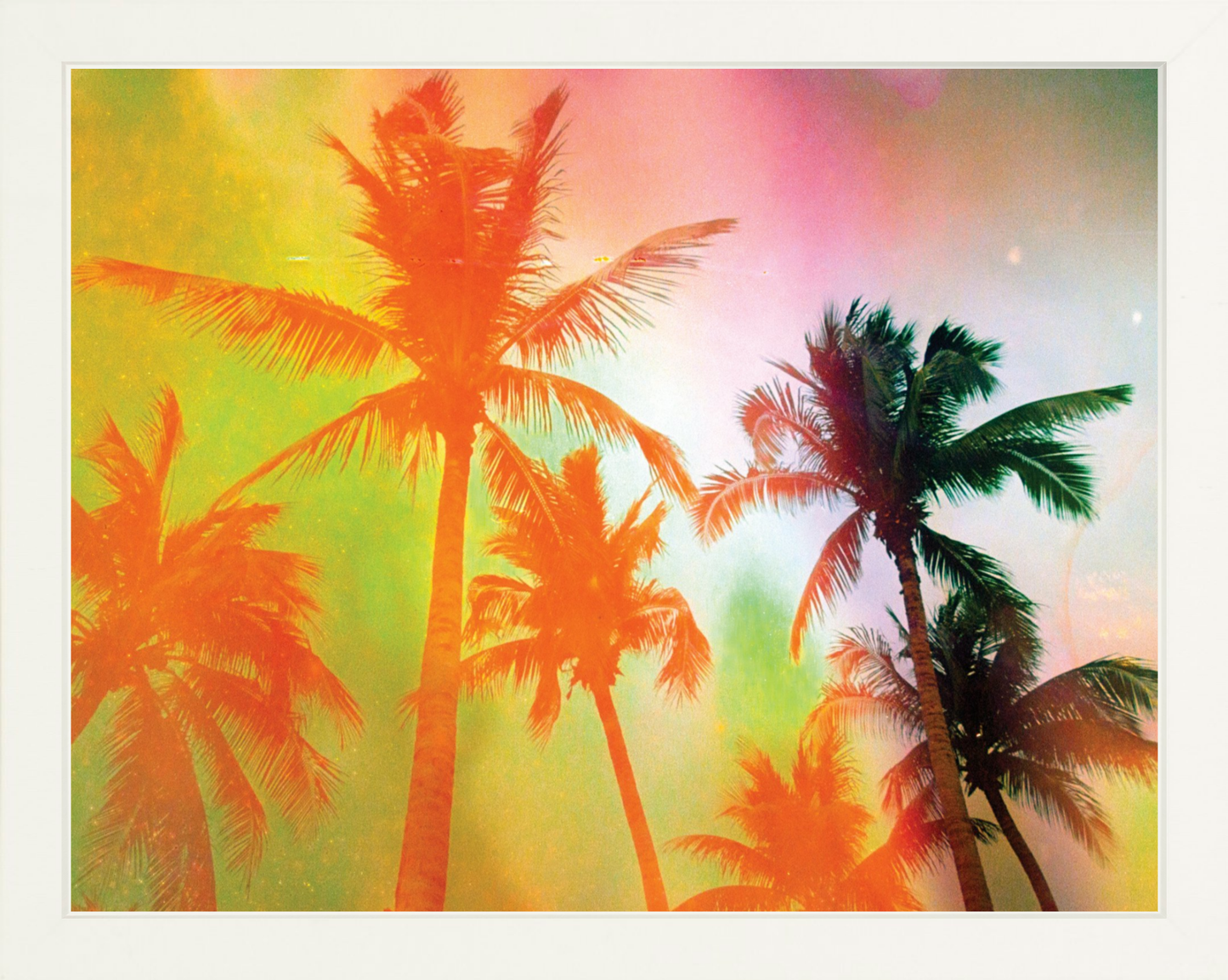 Neon Tropical Palms