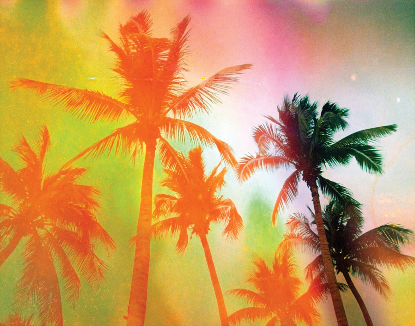 Neon Tropical Palms